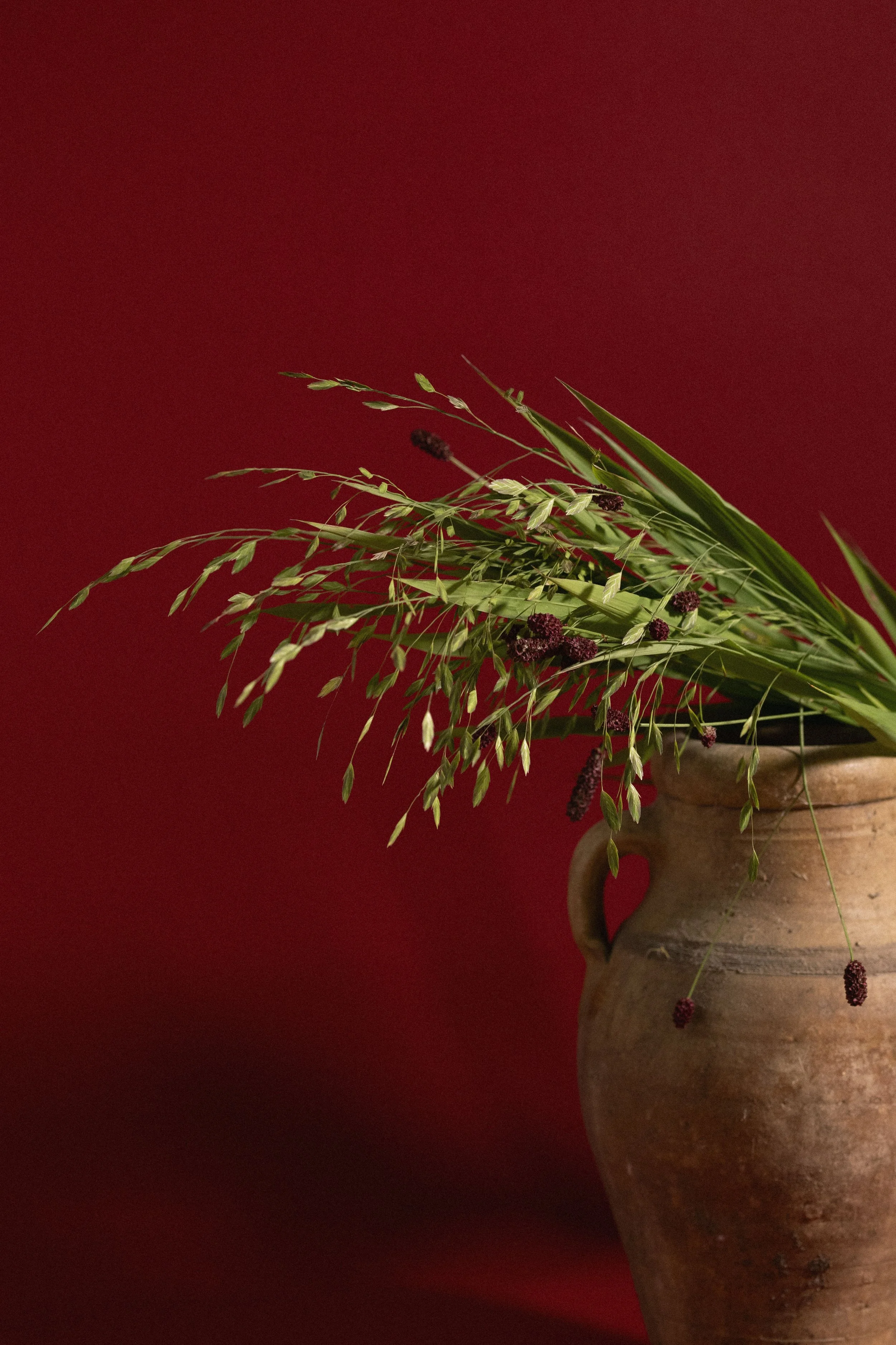 Un vaso di terracotta con un mazzo di erbe verdi e fiori viola contro uno sfondo rosso scuro.