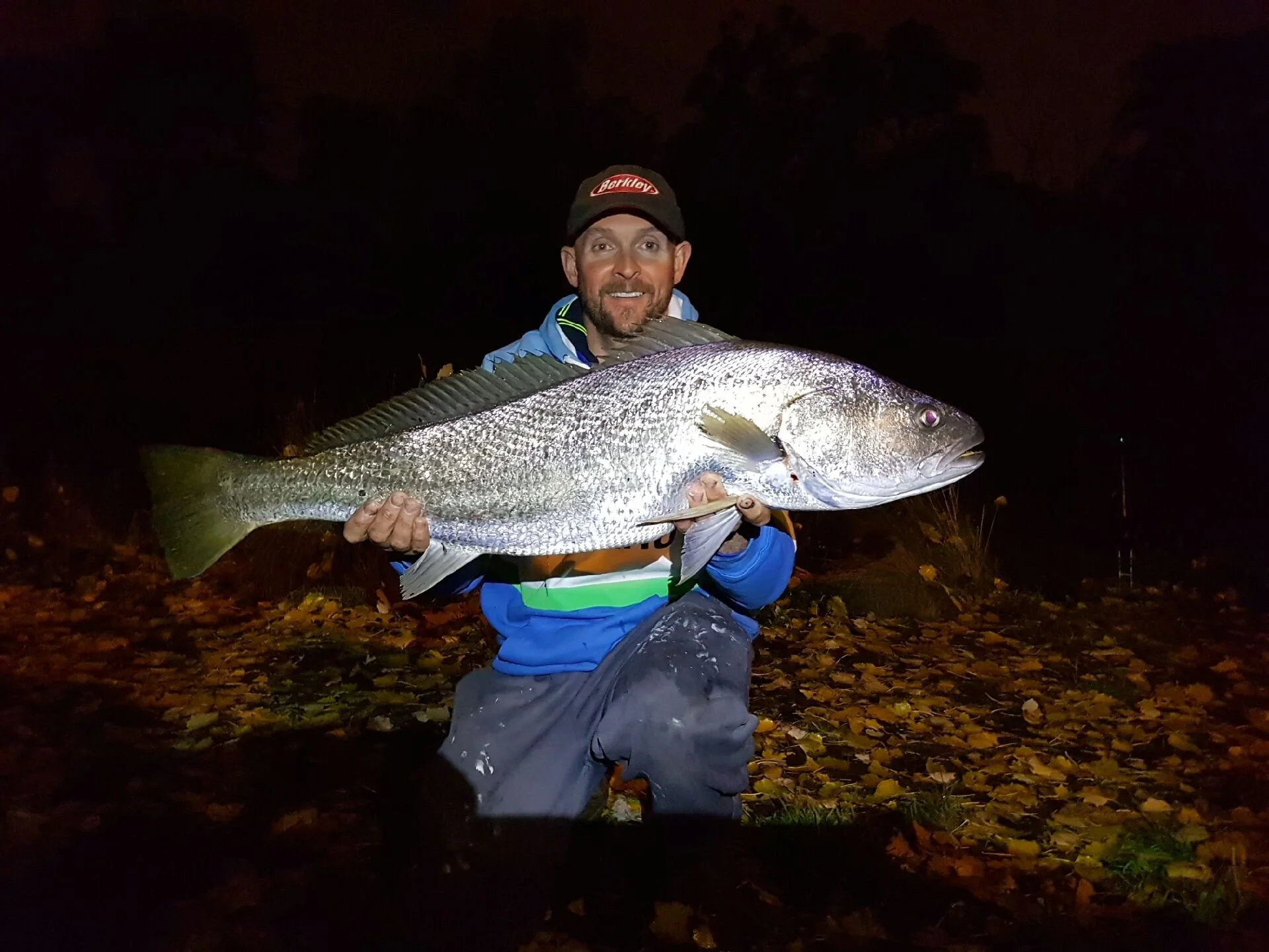 A man kneeling on autumn leaves holding a large fish with a shiny, silver body and pinkish eye at night.