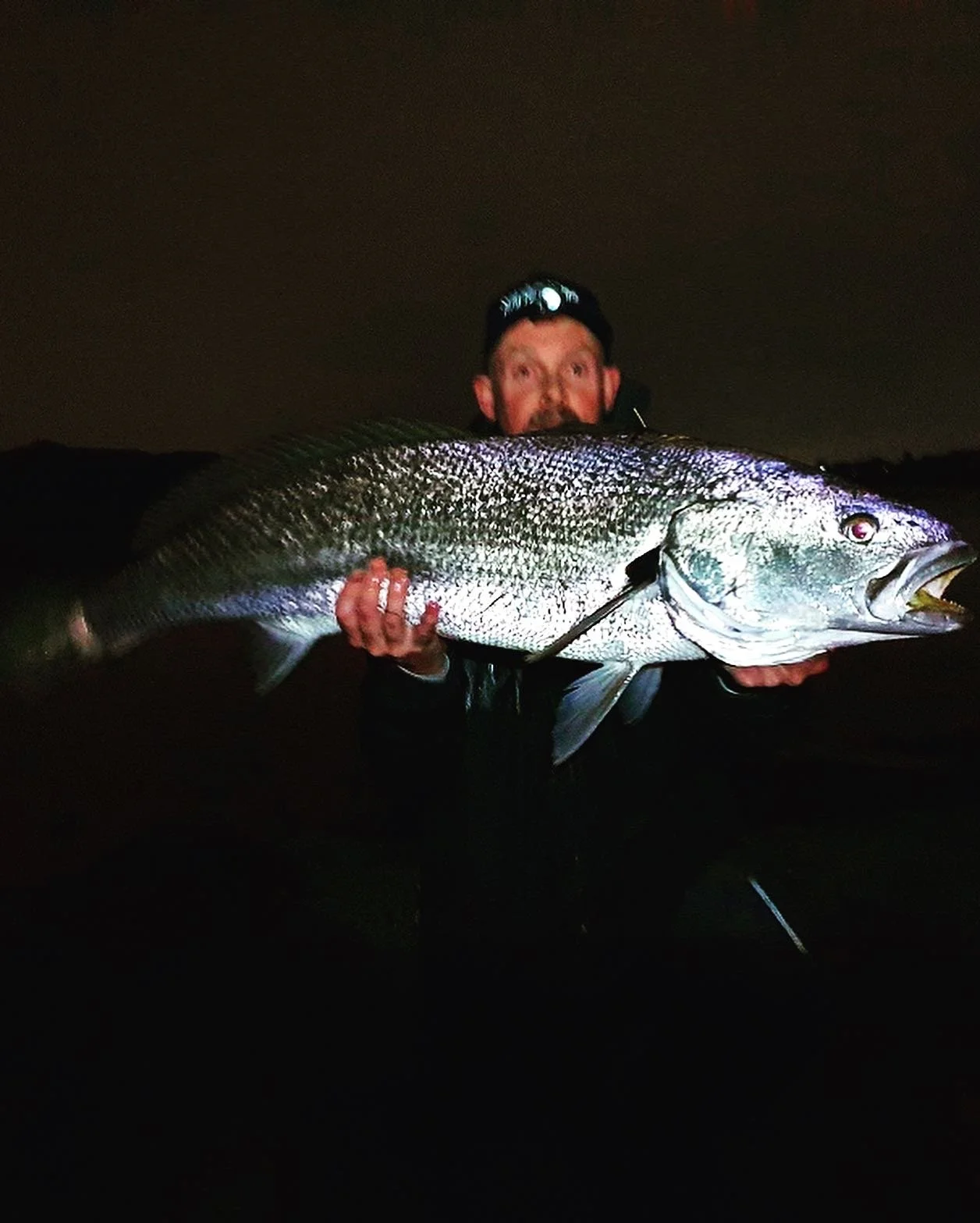 A man holding a large fish at night, wearing a headlamp and outdoors.