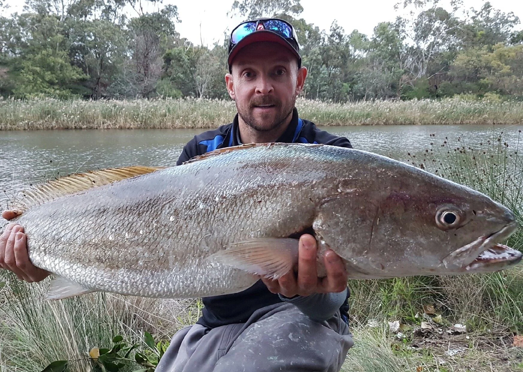 A man sitting outdoors near a river, holding a large fish with both hands. The man is wearing a black and blue jacket, a red cap, and sunglasses on his head. The background features water, trees, and tall grasses.
