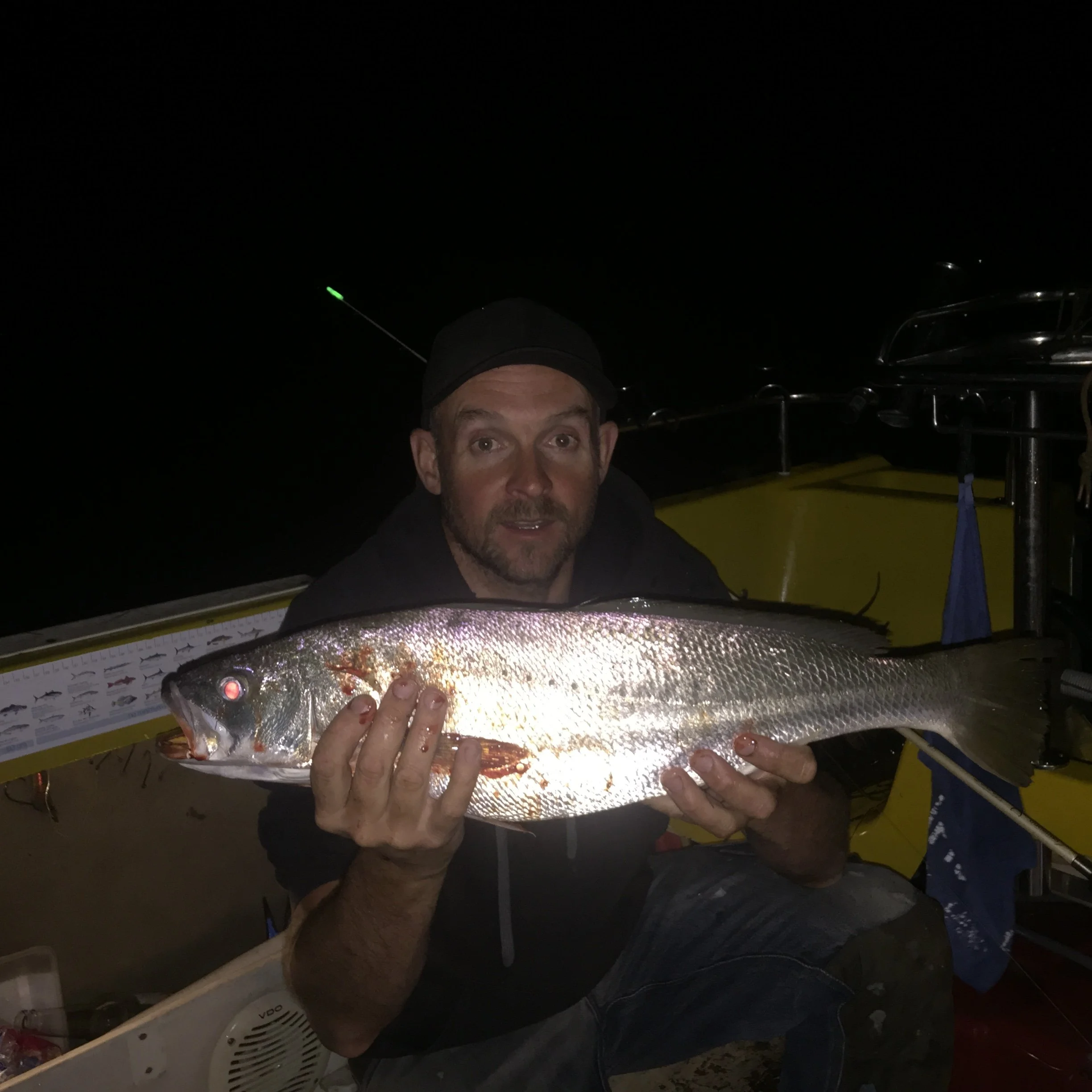 A person with a dark cap holding a large fish with metallic and reddish scales inside a boat at night.