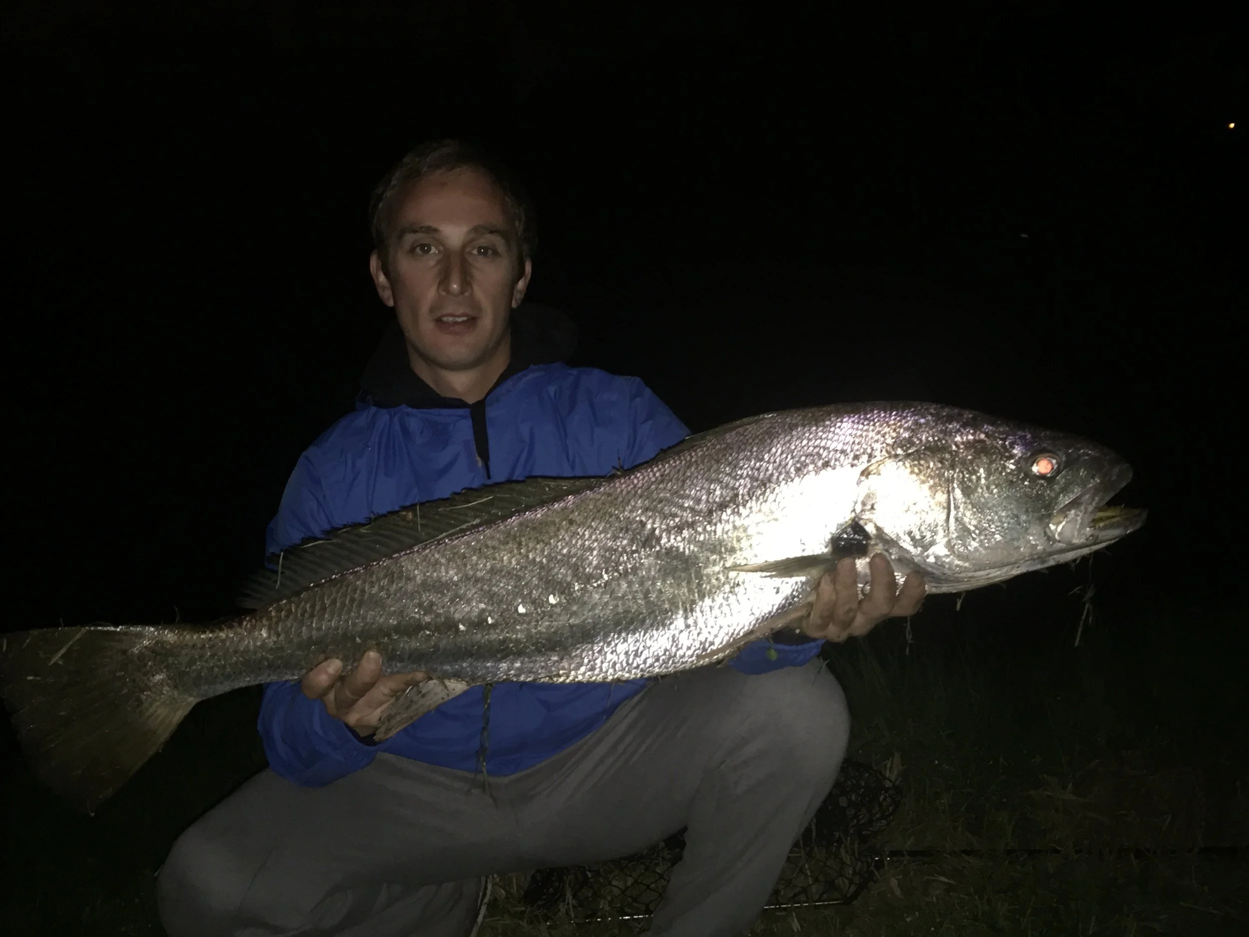 A man in a blue jacket holding a large fish at night.