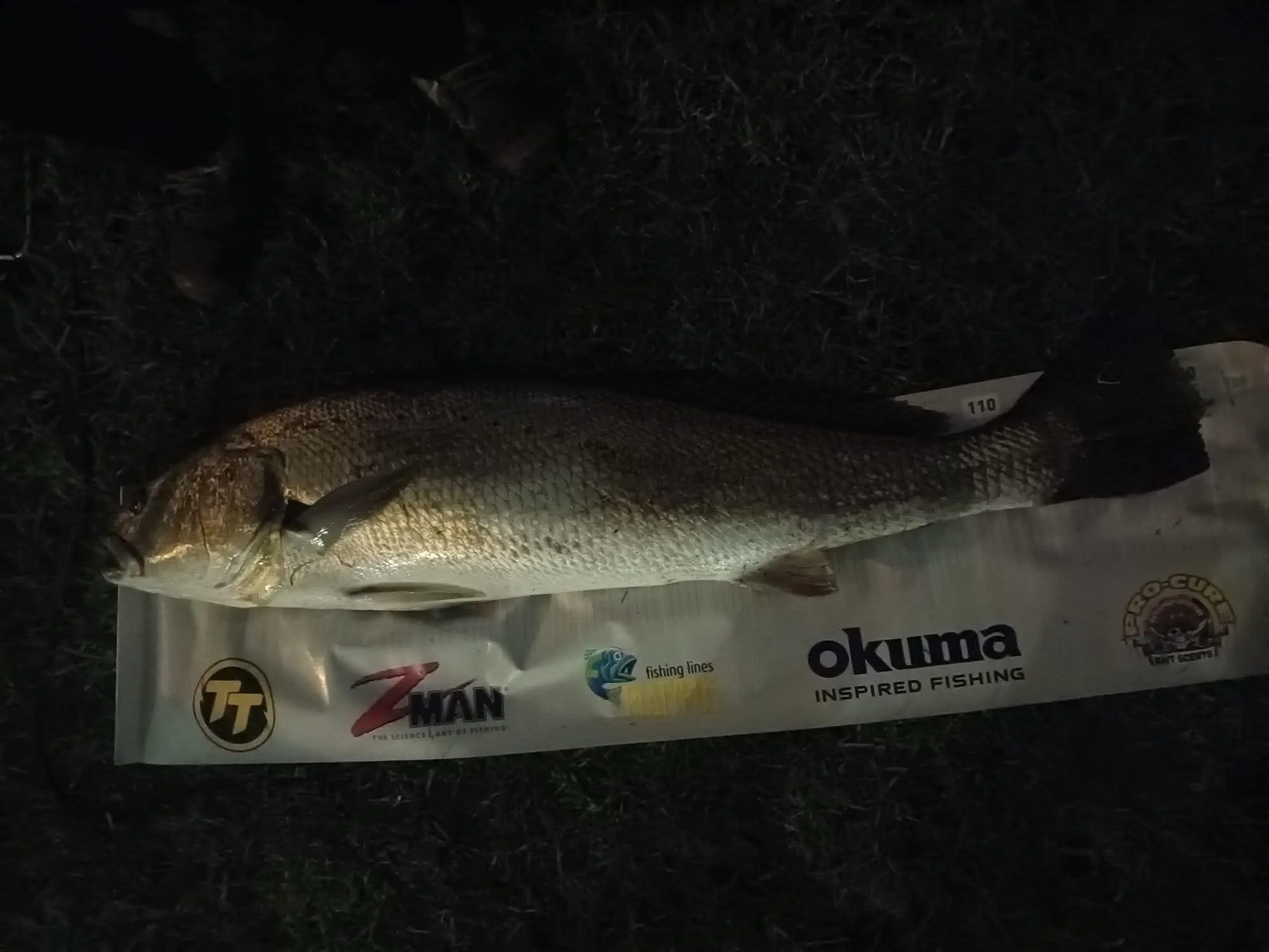 A large fish lying on top of a package of fishing lines labeled 'Okuma Inspired Fishing' with logos for Tackle Titan, ZMan, and other brands, on a dark surface.
