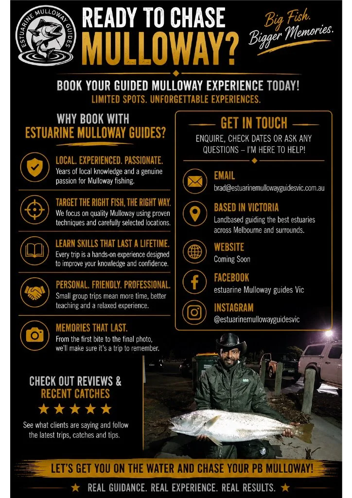 Flyer advertising guided fishing trips to Mulloway with Estuarine Mulloway Guides, highlighting local expertise, quality techniques, and memorable experiences. Contact info, location in Victoria, and social media handles are provided.