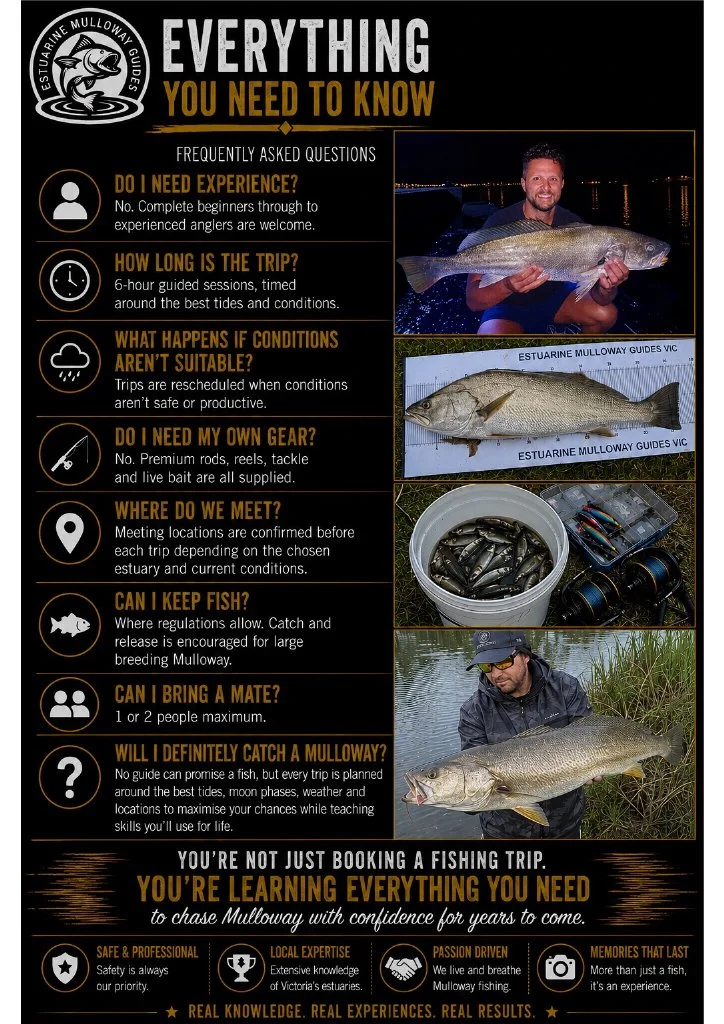 Infographic titled "Everything You Need to Know" about estuarine Mulloway guided fishing trips, including FAQs, images of a man holding a Mulloway fish, fishing gear, and a bucket of bait.