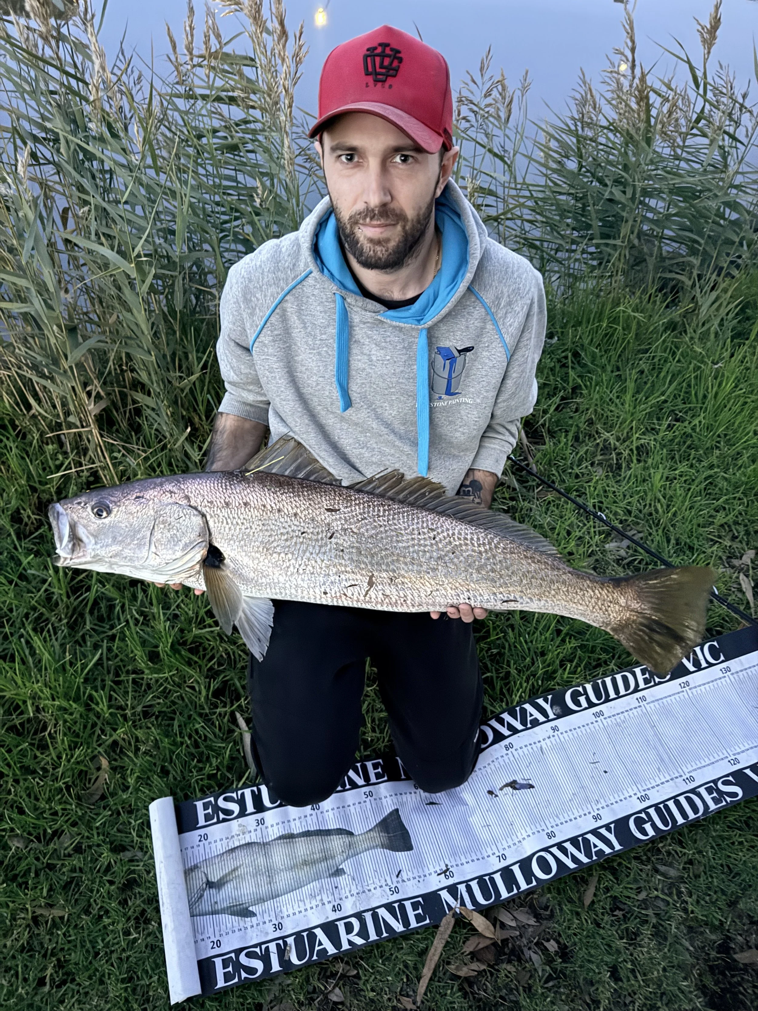 A man holding a large fish sits on the grass near tall reeds and a body of water. He is wearing a red cap and gray hoodie with blue accents, and there is a measuring guide on the ground in front of him.