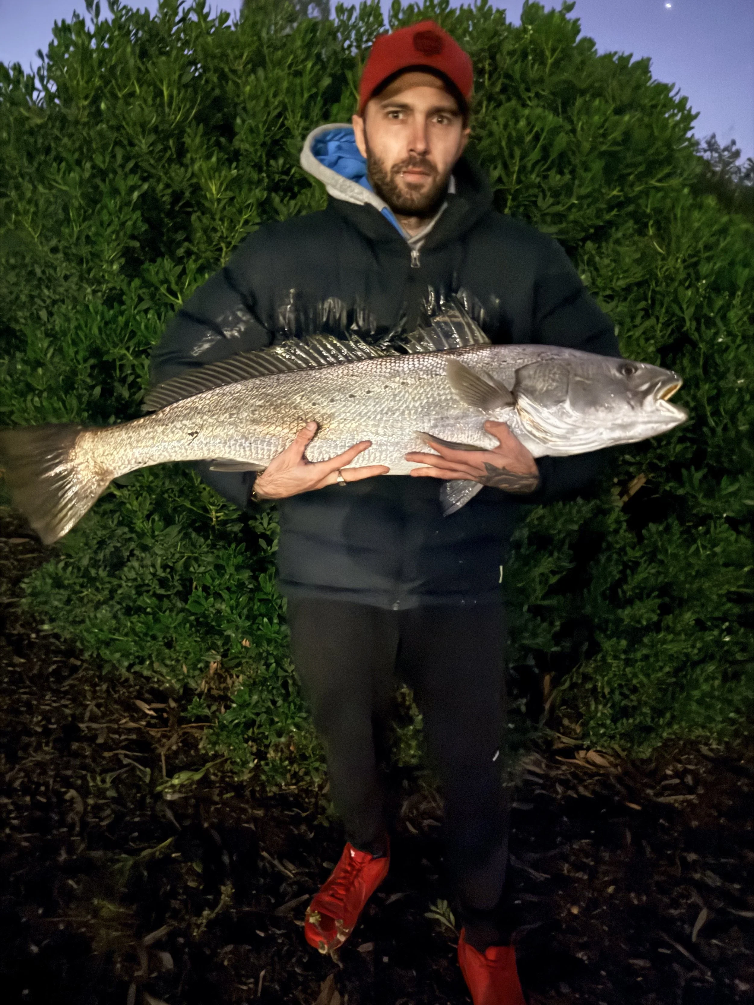 A man with a beard and brown hair holding a large fish, standing outdoors at dusk or dawn with green foliage behind him. He is wearing a black jacket, a grey hoodie with a blue lining, a red cap, and red footwear.