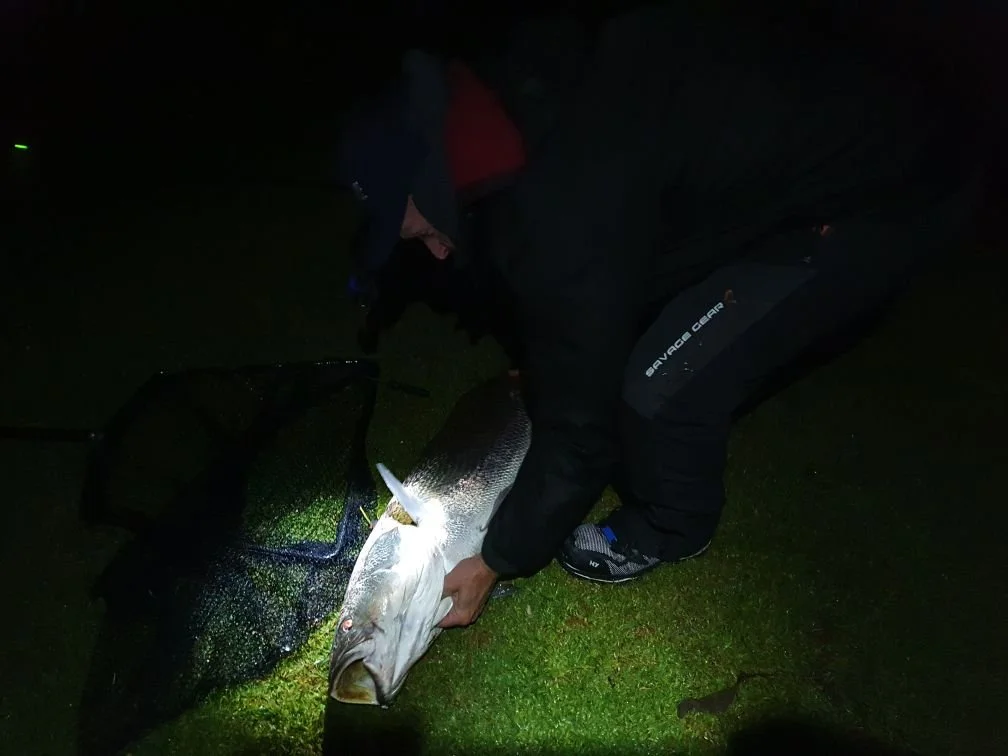 Person holding a large fish, possibly a striped bass, at night outdoors with green grass visible.