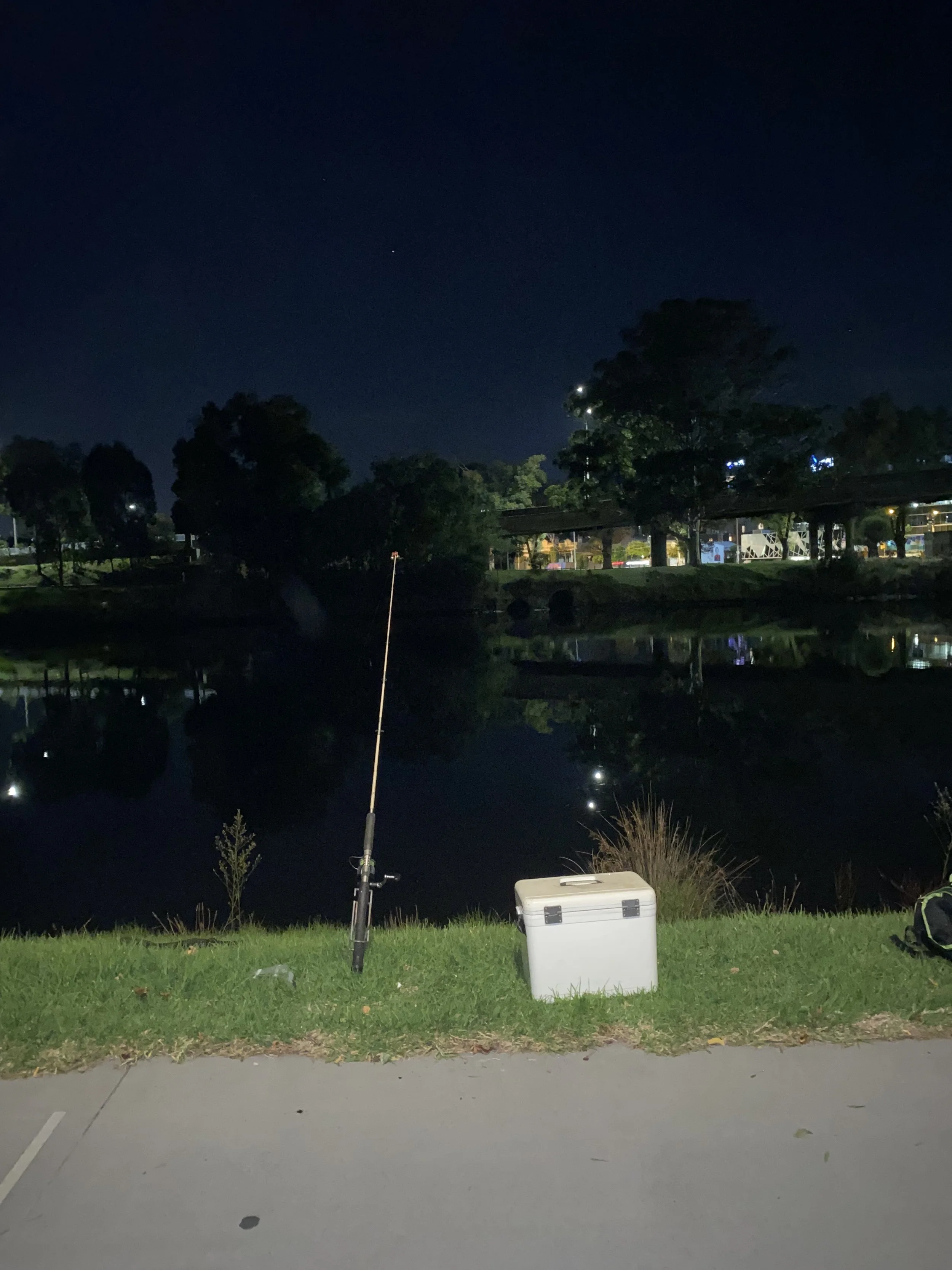 Nighttime scene of a fishing spot with a fishing rod, cooler, and grassy area near a body of water, with trees and a bridge in the background, and city lights reflecting on the water.