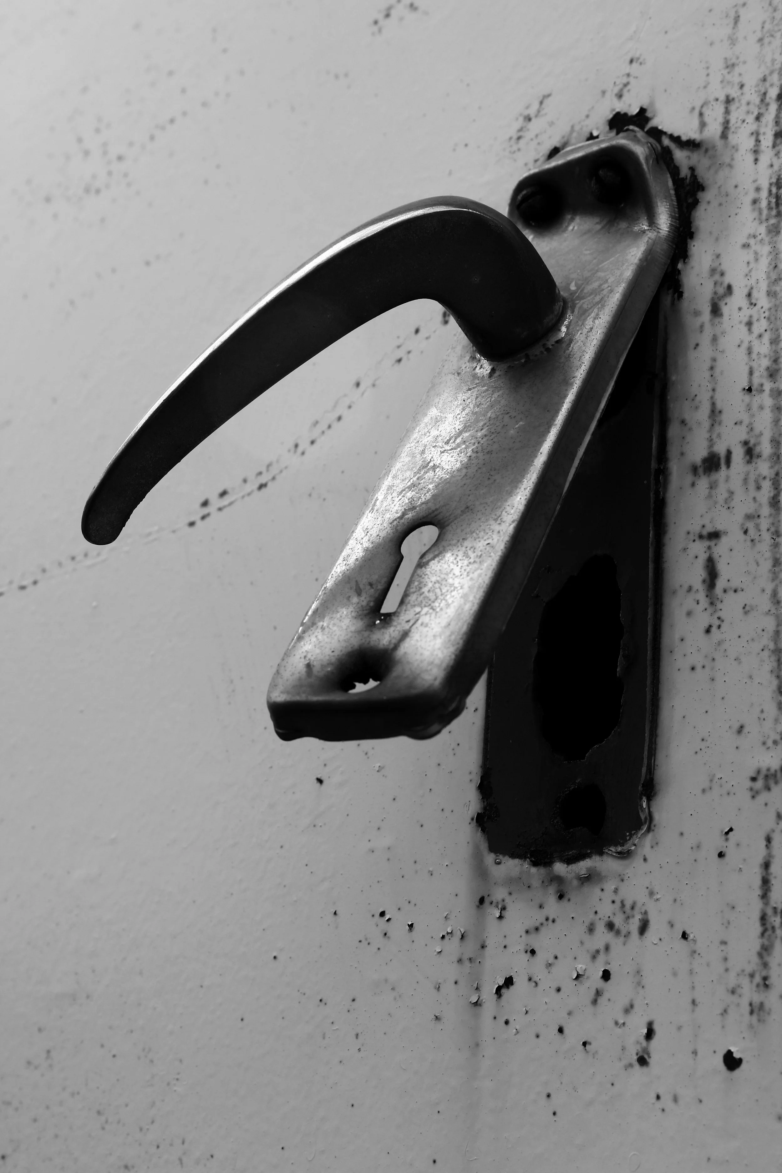 The object has changed, becoming the subject! This is the main idea of this picture. In fact, the object loses its practical meaning so that the handle is not the handle any more! And its definition as a tool for opening and closing has been changed 