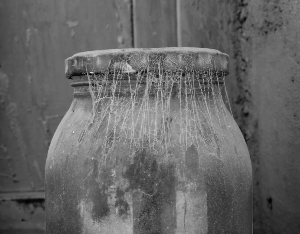 Time leaves no signature except its traces. The web is not an ornament upon the vessel but the language through which absence becomes visible. Every thread records an invisible waiting, where silence slowly transforms the ordinary into an archive of 