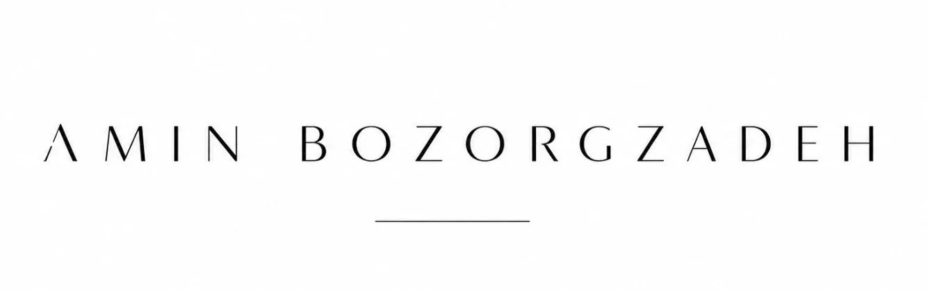 Amin Bozorgzadeh