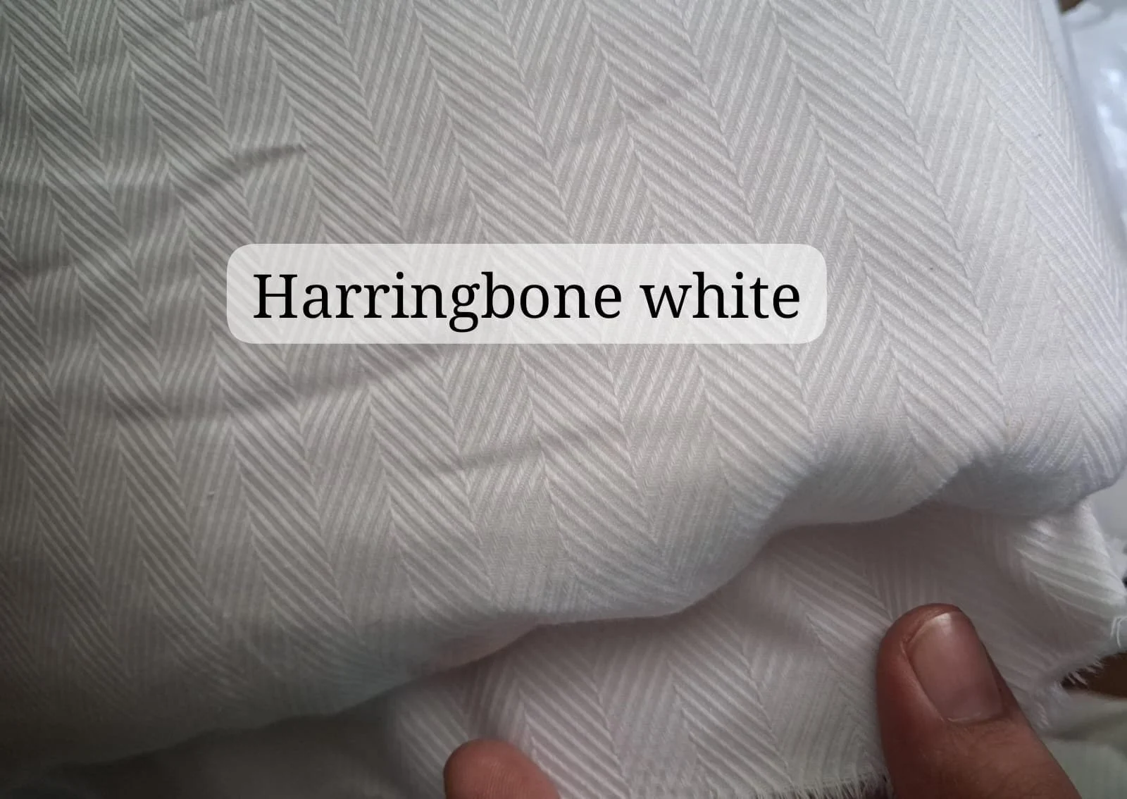 WhatsApp Image 2026-06-23 at 15.09.02 (1).jpeg