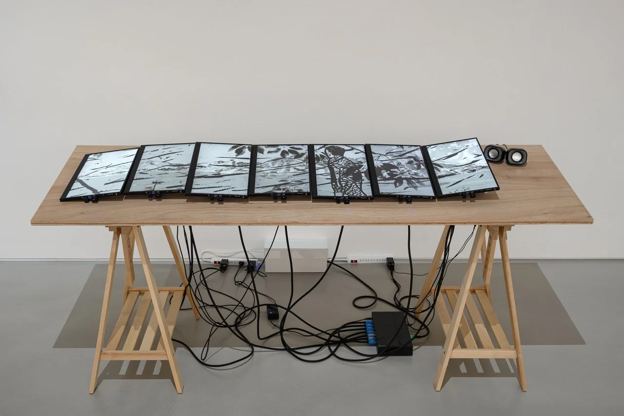 Installation view: Image-coated (2023) | 7-channel video with sound | H35.5 x 154cm | gdm Taipei