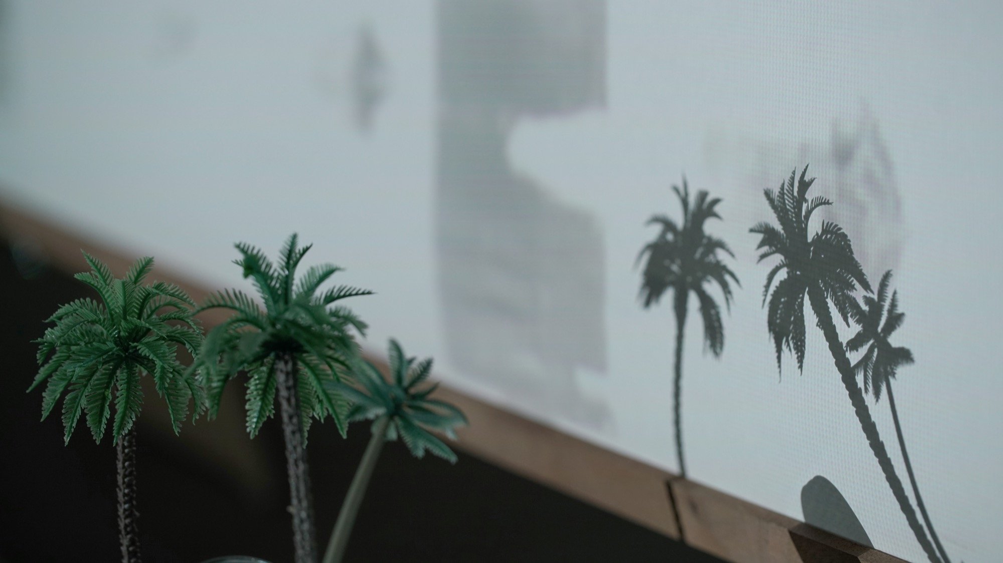 ADTS_palm-1.JPG