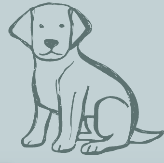 Sketch of a sitting puppy dog with floppy ears.