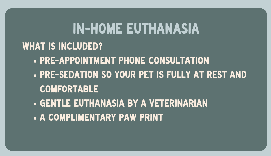In-home euthanasia services include pre-appointment consultation, pre-sedation, gentle euthanasia, and complimentary paw print — Neighbors Veterinary Services in Greater Orlando, FL
