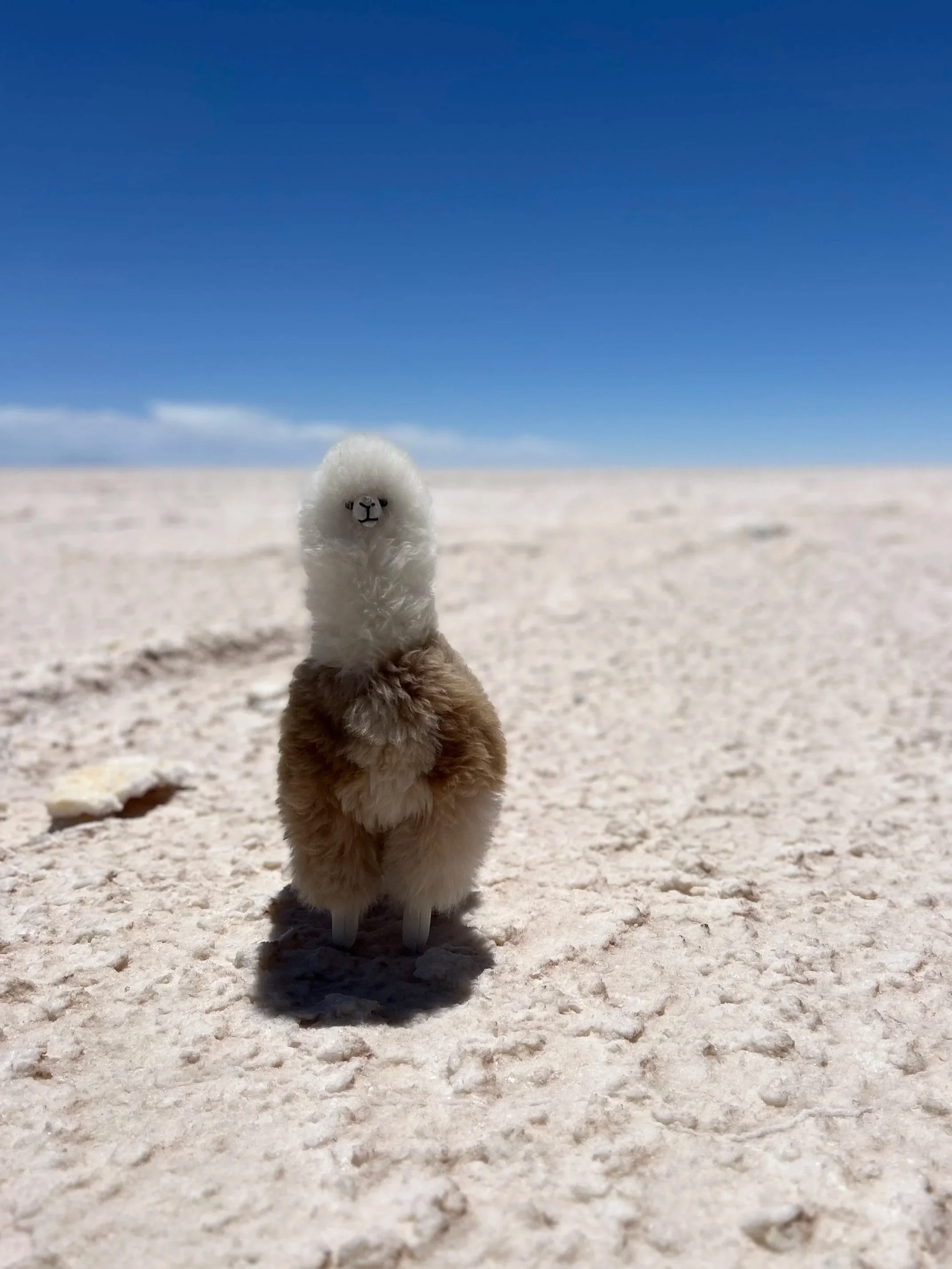 A plush llama toy with white and brown fur standing on a salt flat under a bright blue sky.