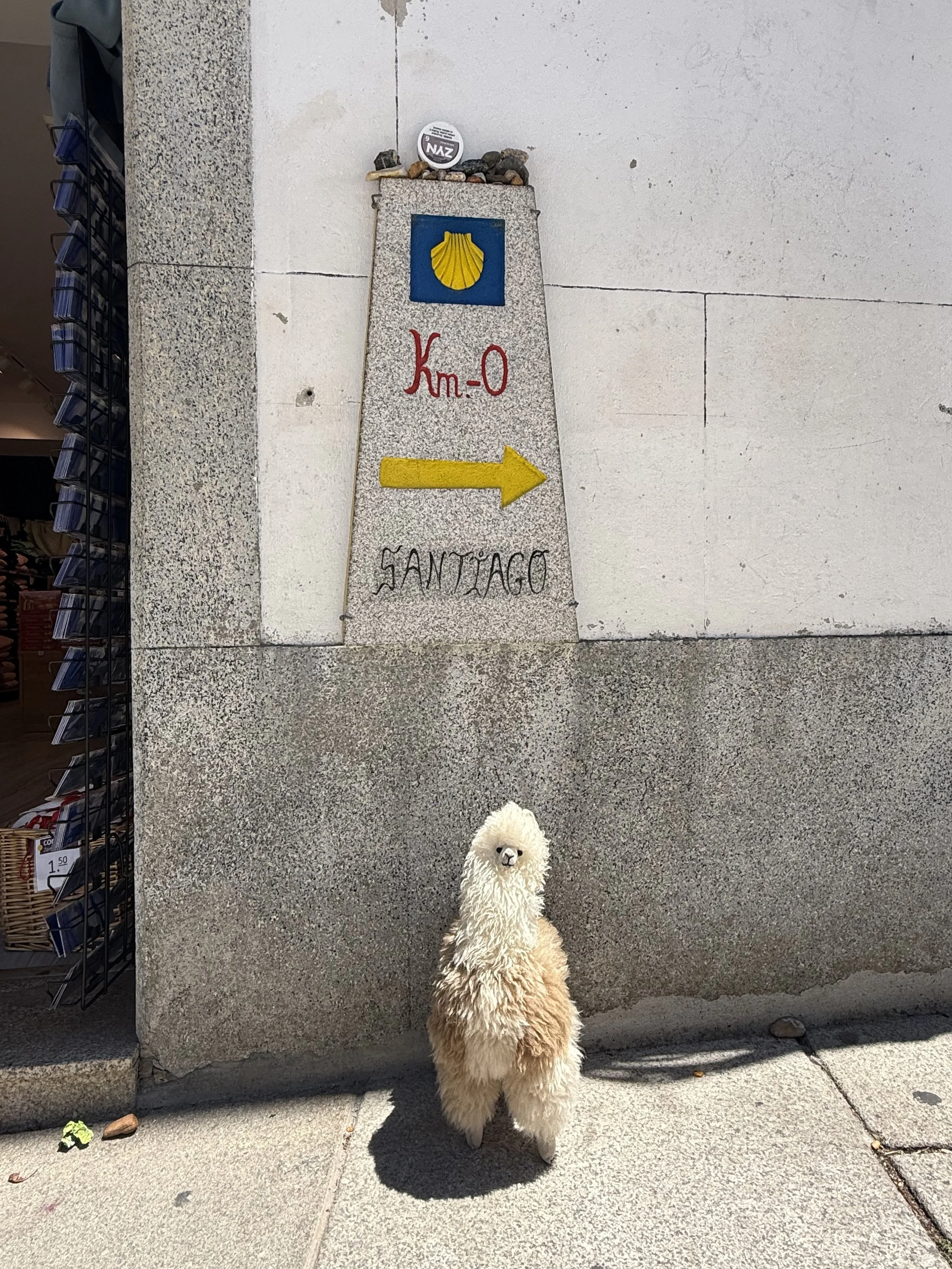 🇪🇸 Gary’s Camino Adventure: 115 km of Friends, Footsteps, and Tiny Breaks