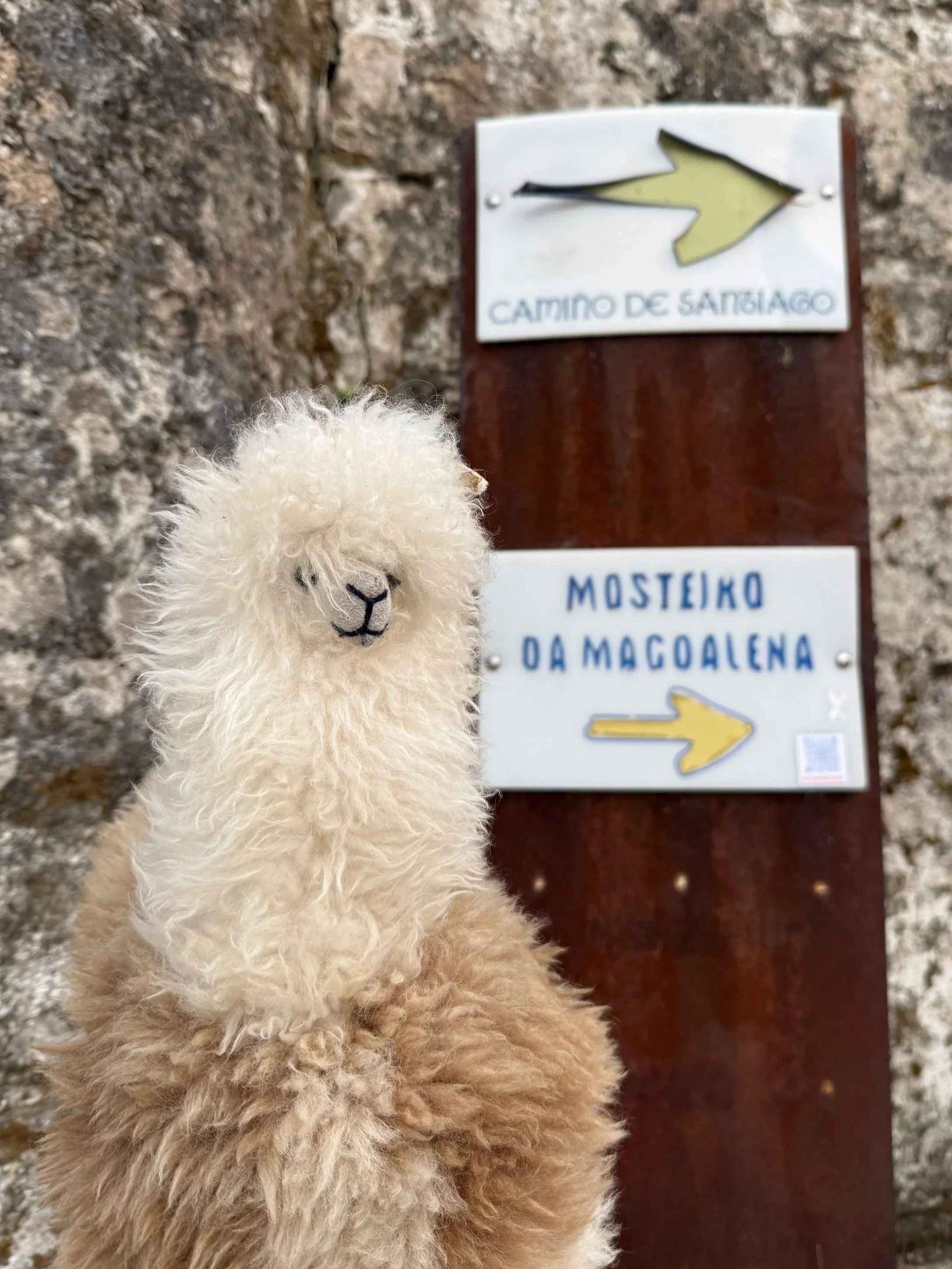 A plush llama toy in front of a sign with an arrow pointing to the right, reading "Camino de Santiago" and "Mosteiro da Moalde.