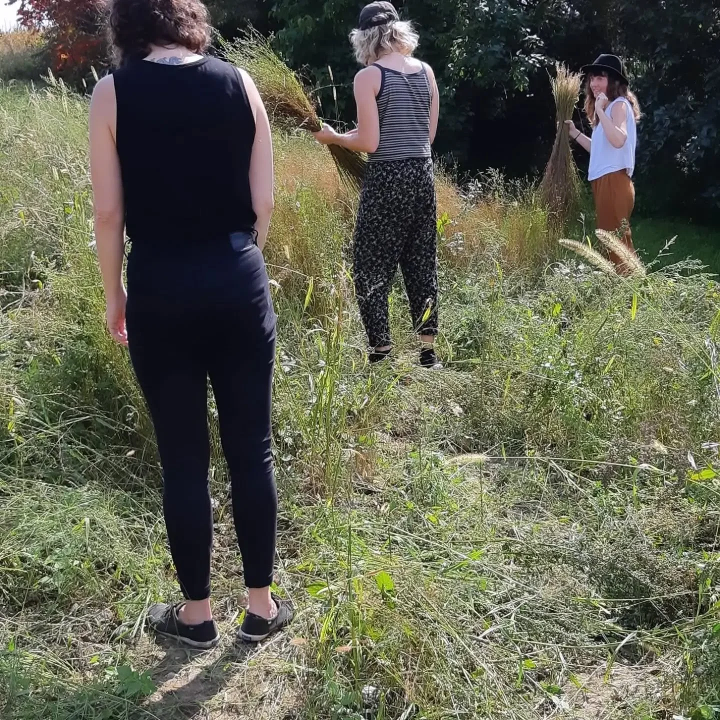 2020 - Le premier meet up exploratoire.  J'ai voulu &ecirc;tre avec des amies pour tester les outils que j'avais fabriqu&eacute;s.  The break and the hackle.  Nous avions pris ma VW Rabbit 84, &agrave; quatre et avec nos valises, c'&eacute;tait plus 