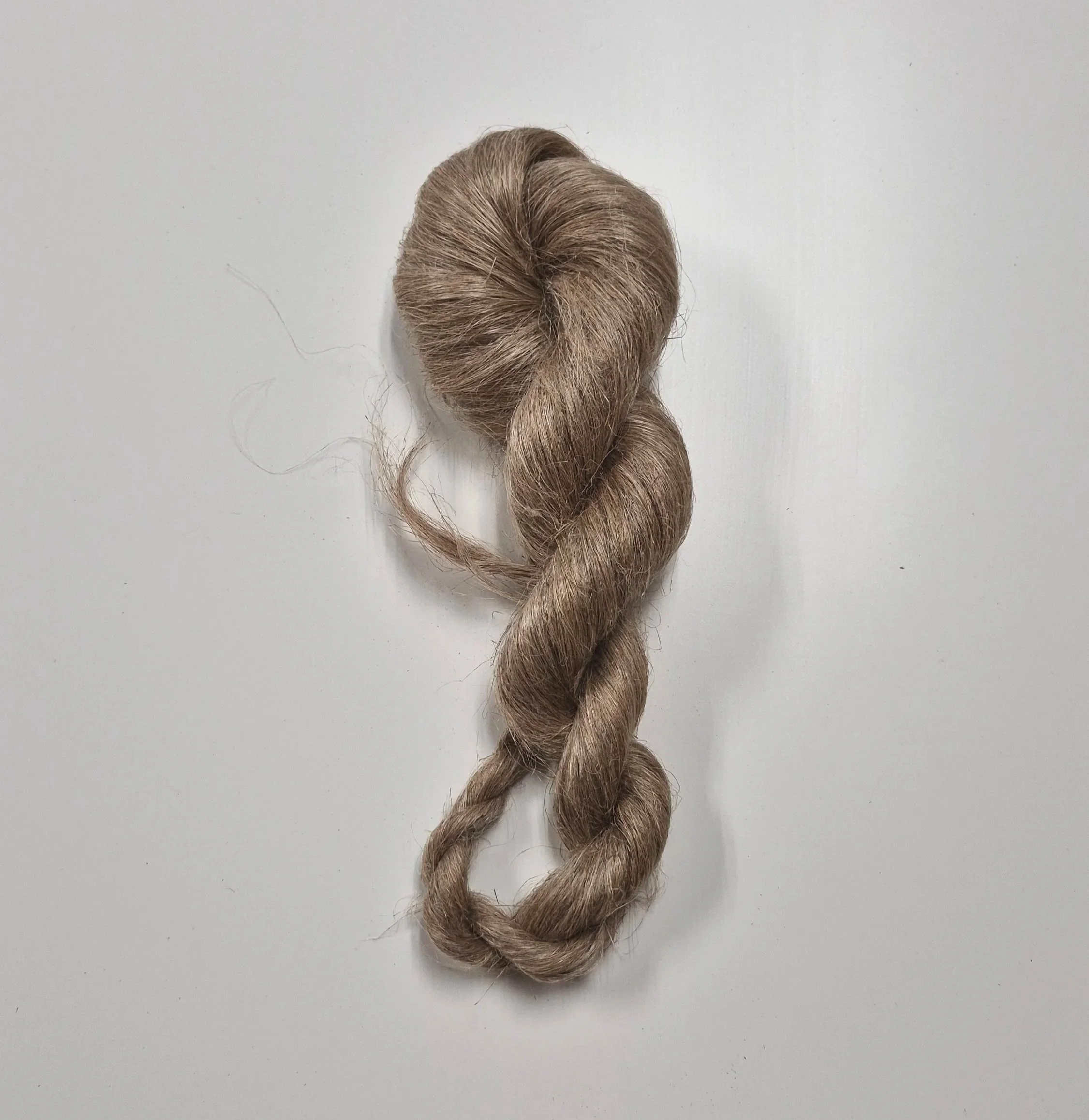 Chignon de cheveux blonds attaché avec un elastique, posé sur un fond blanc.