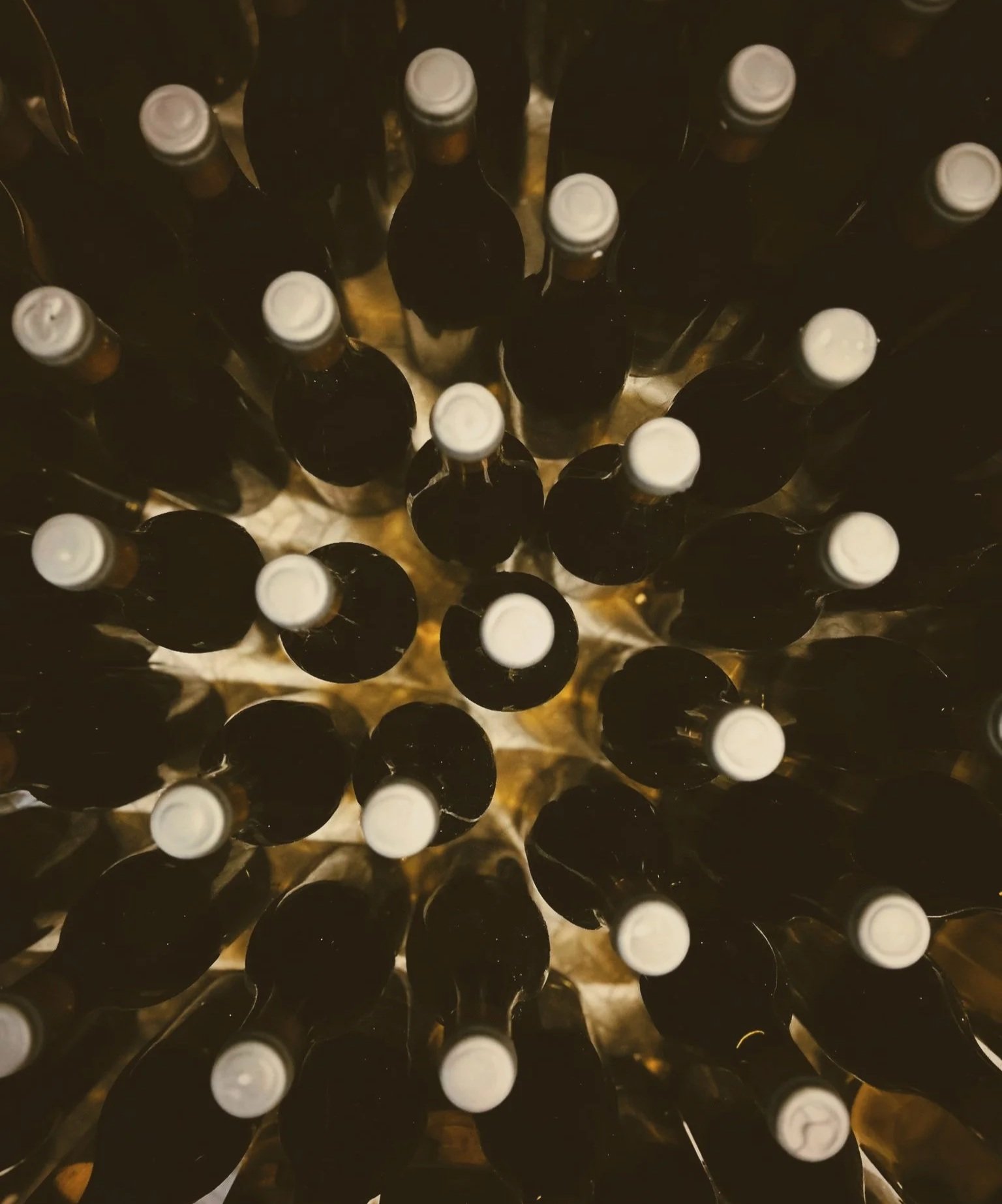 Top view of multiple bottles with dark bodies and white caps.