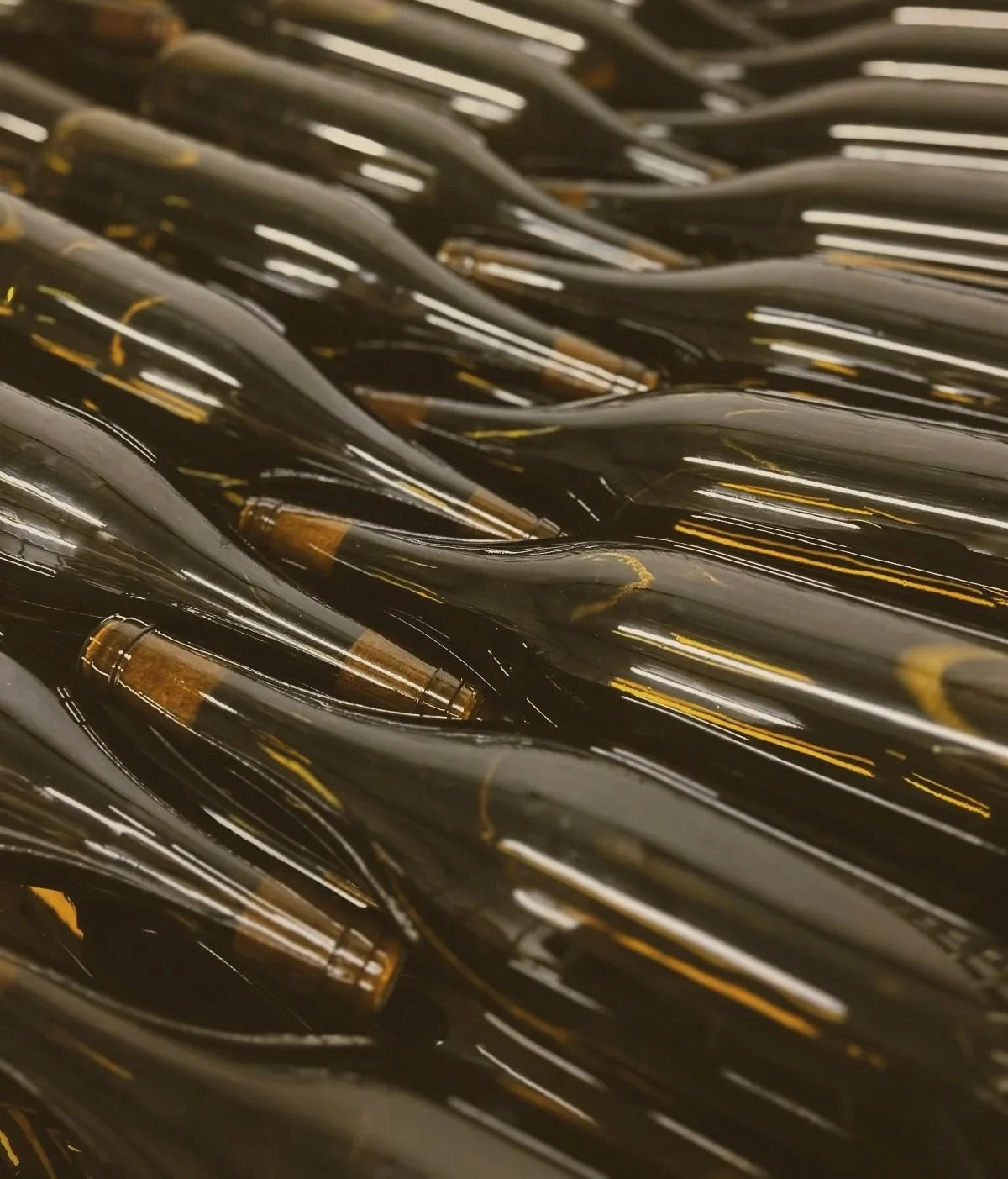 A close-up of multiple brown glass beer bottles laying on their sides.