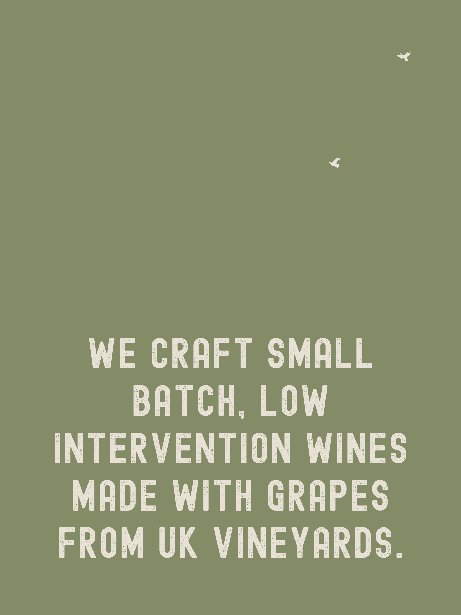 Green background with white text that reads: "We craft small batch, low intervention wines made with grapes from UK vineyards."