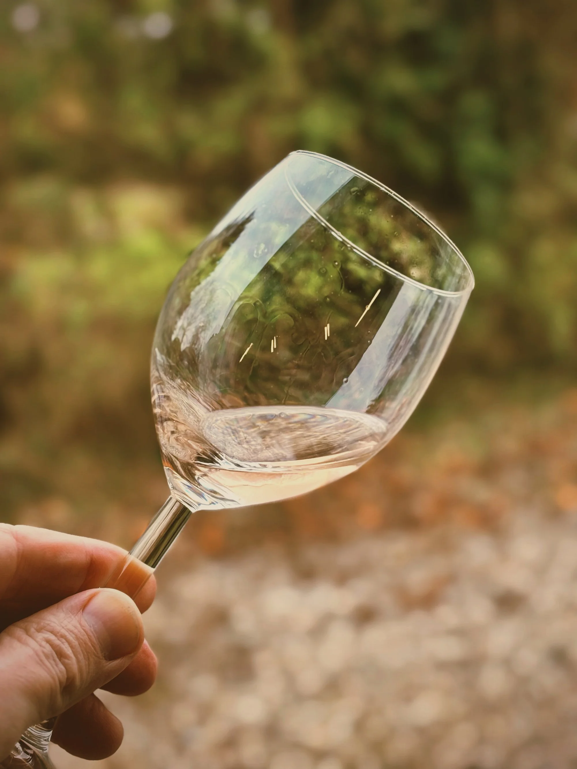 A hand holding a clear wine glass with white wine, in an outdoor setting with blurred greenery and autumnal colors in the background.