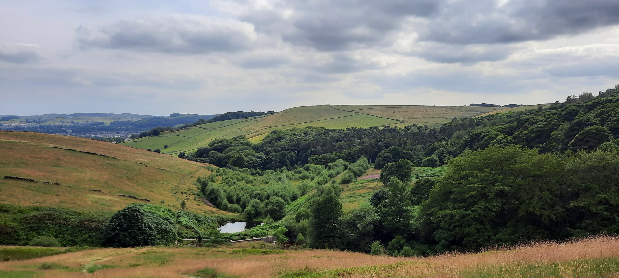 Scenic view of rolling green hills, lush trees, and a small pond under a cloudy sky.