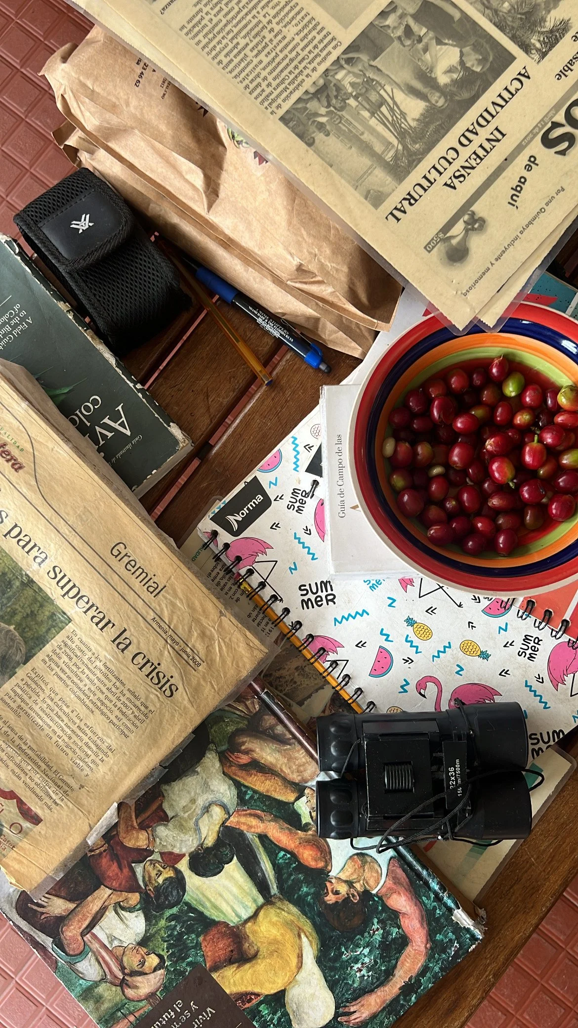 A table with a colorful bowl of cherries, a newspaper, a painting of women dancing, a notebook with colorful doodles, a binocular, and various papers and writing utensils.