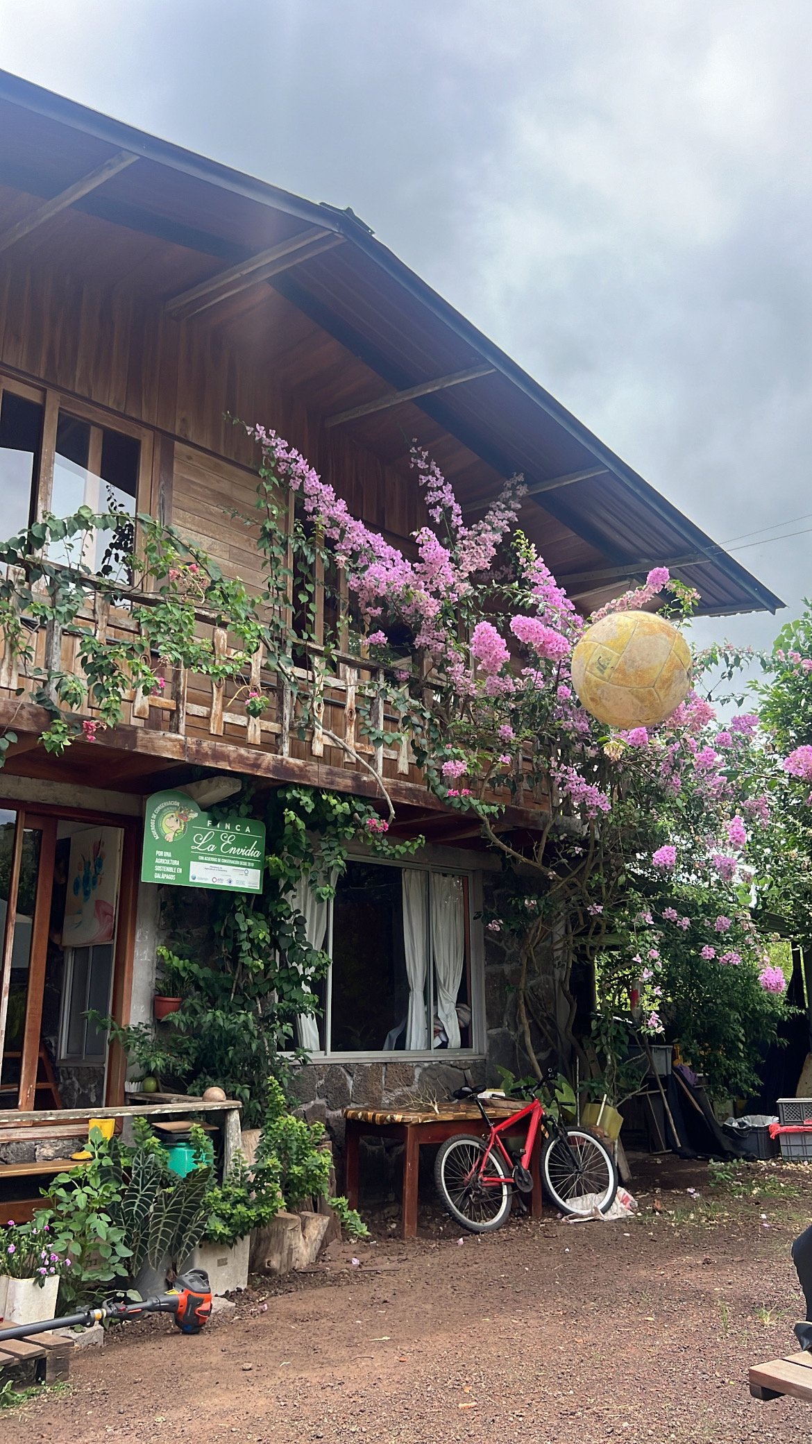 A rustic house with a wooden balcony, pink flowering plants climbing the exterior, and a yellow paper lantern hanging from the roof. The ground in front has a red bicycle, potted plants, and gardening tools.