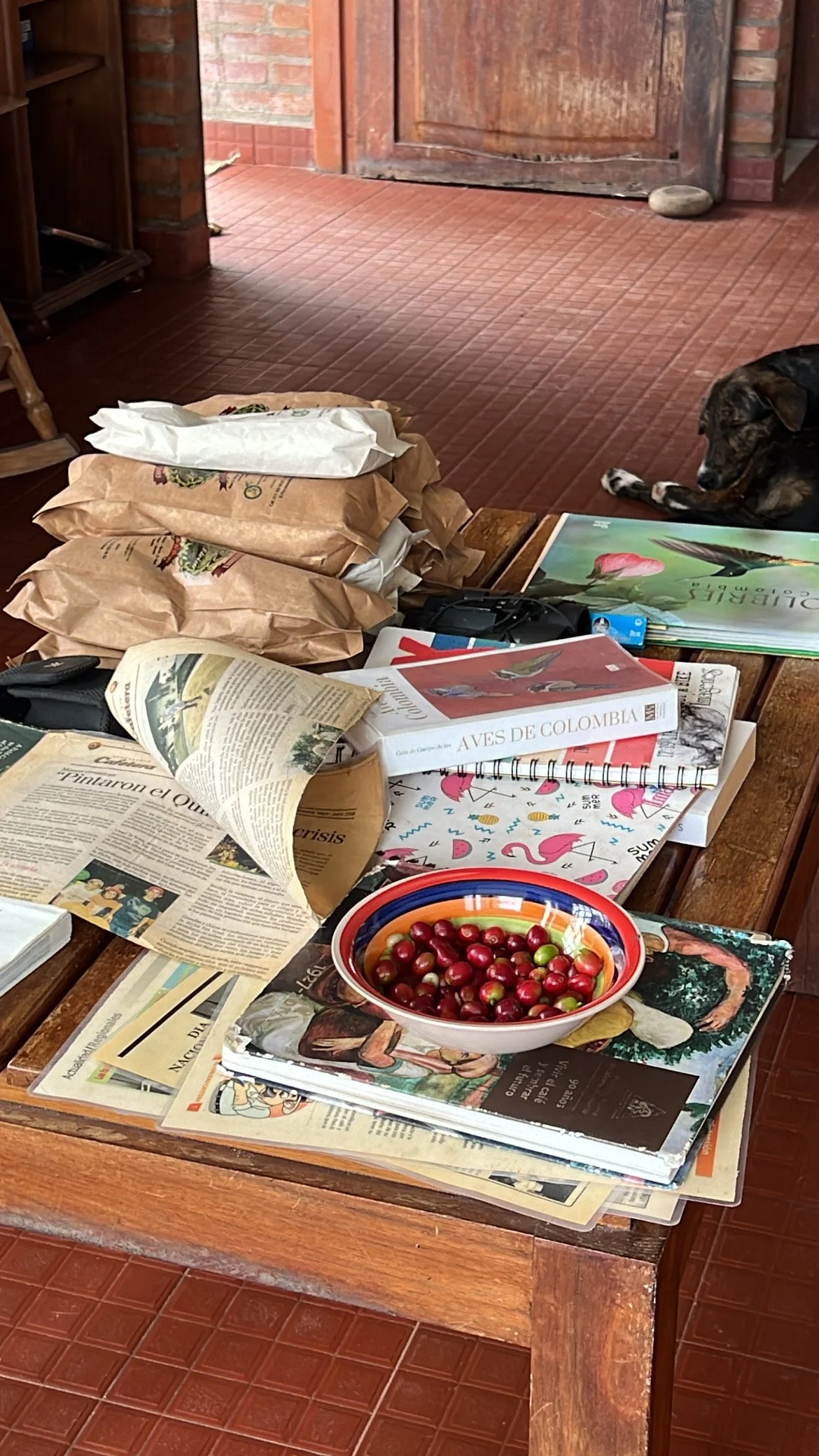 A wooden table covered with magazines, books, a bowl of small red cherries, and paper bags, located in a room with brick and wooden walls, with a dog lying near the door in the background.