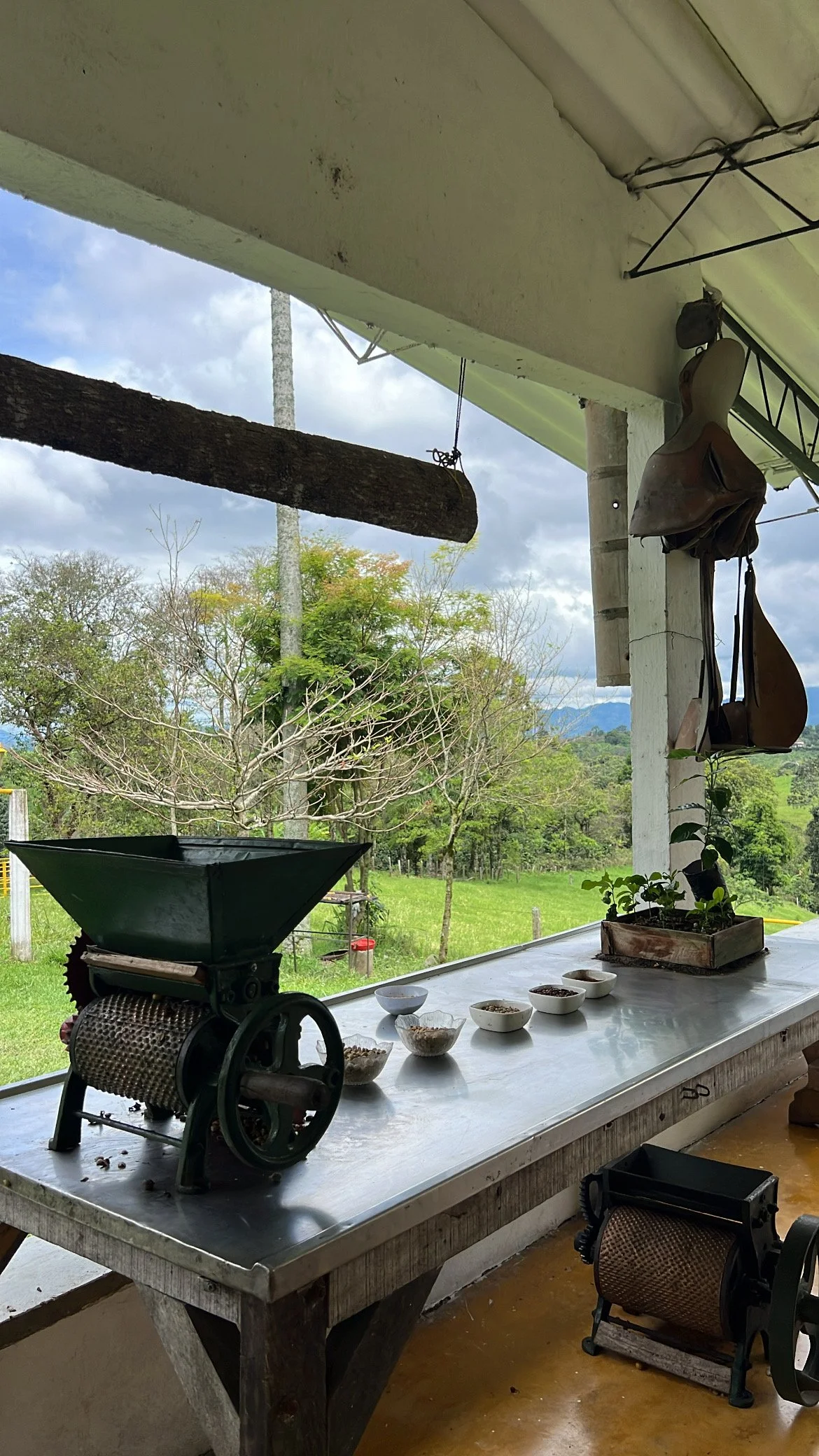 Outdoor veranda with a metal table, bowls of seeds, a vintage coffee grinder, a small plant in a box, and hanging bags and tools. In the background, trees, grass, and a cloudy sky.