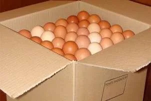 Egg Box.jpg