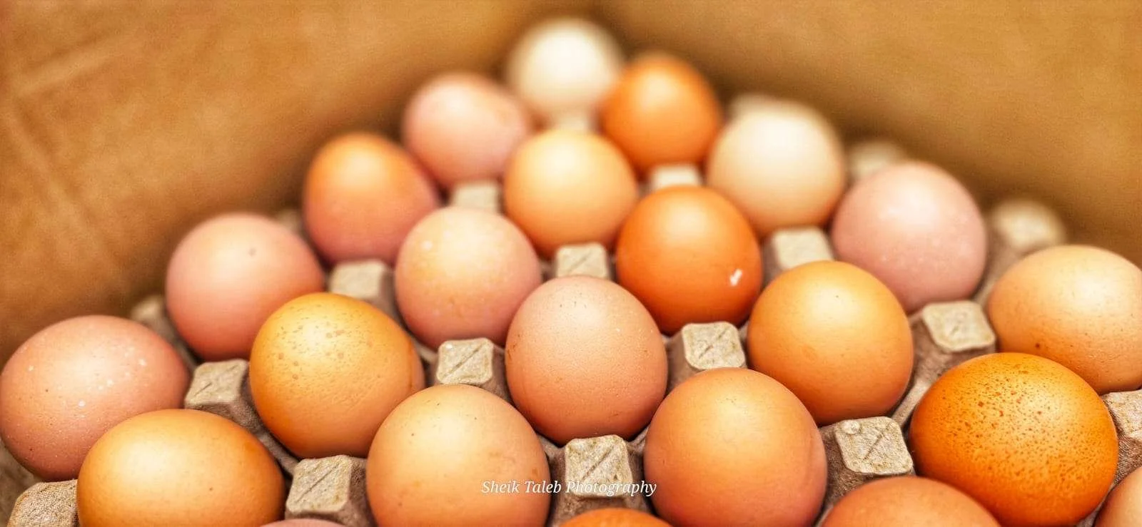 Egg Tray.jpeg