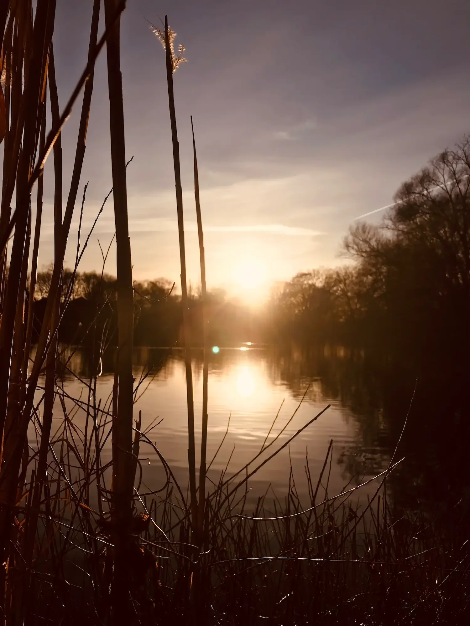 Peaceful winter sunset over a quiet lake surrounded by nature during a yoga retreat in Brandenburg.