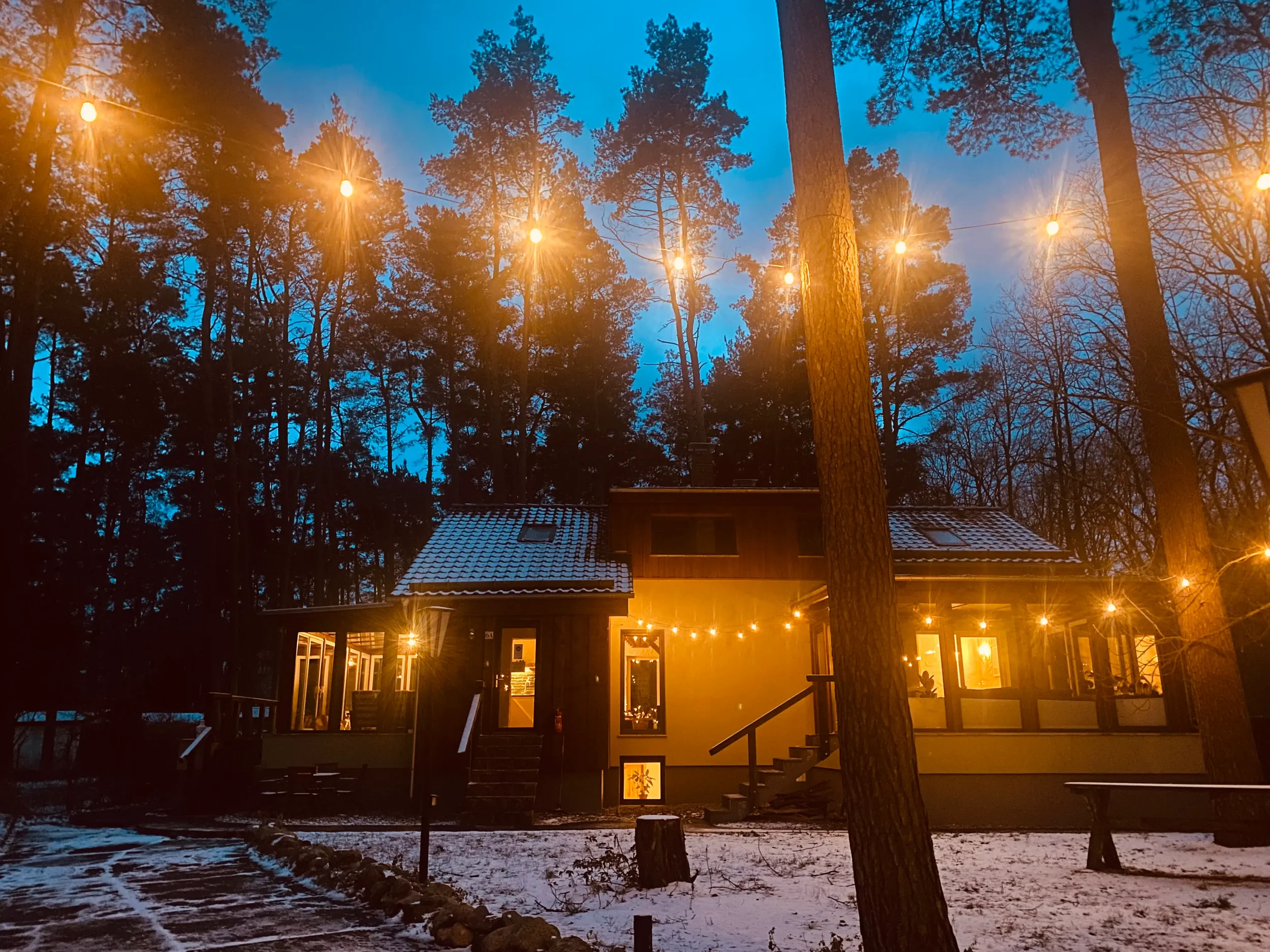 Cozy winter yoga retreat near Berlin in Brandenburg, surrounded by snowy forest and warm evening lights
