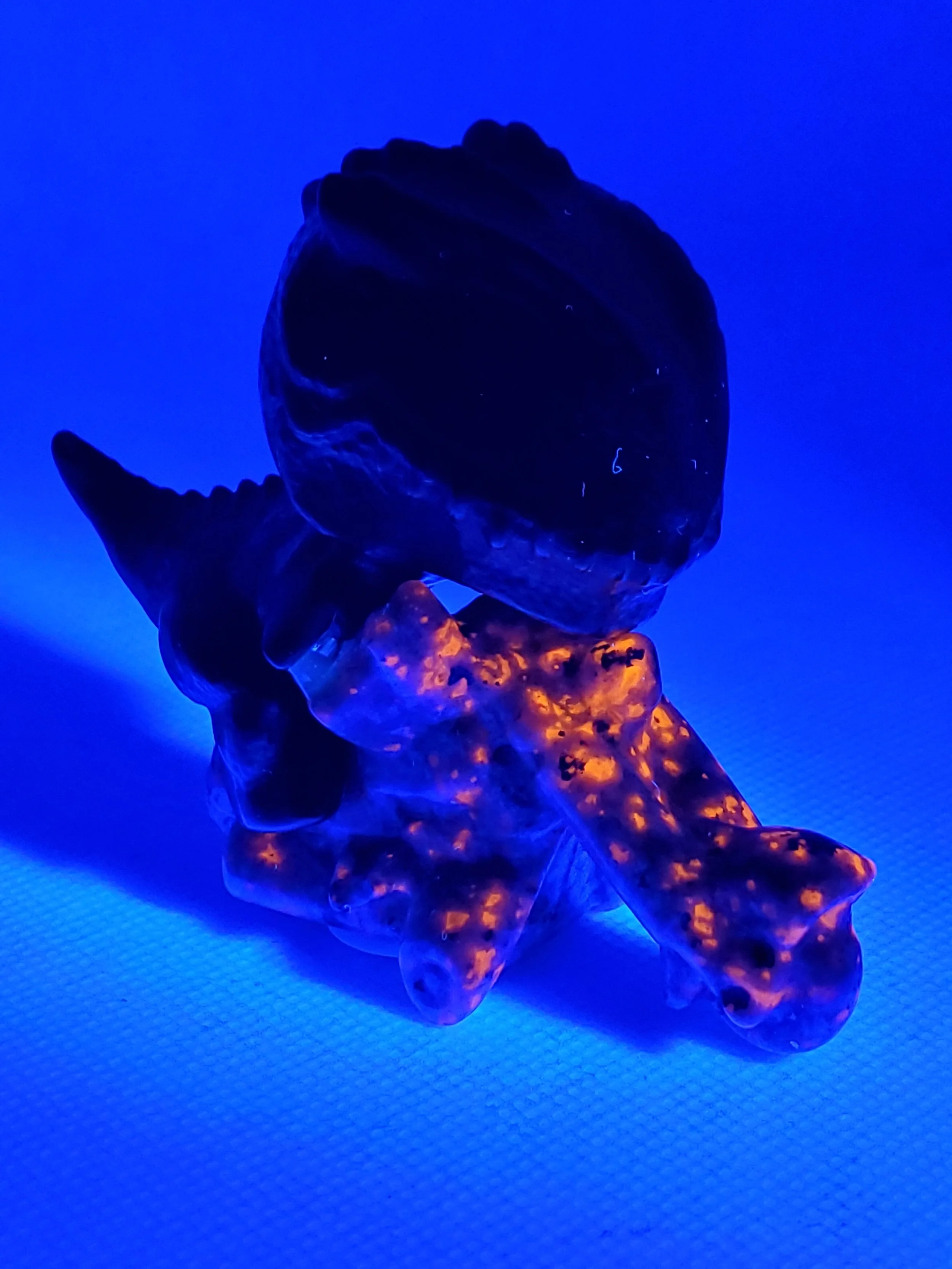 20260710_115335.jpg
