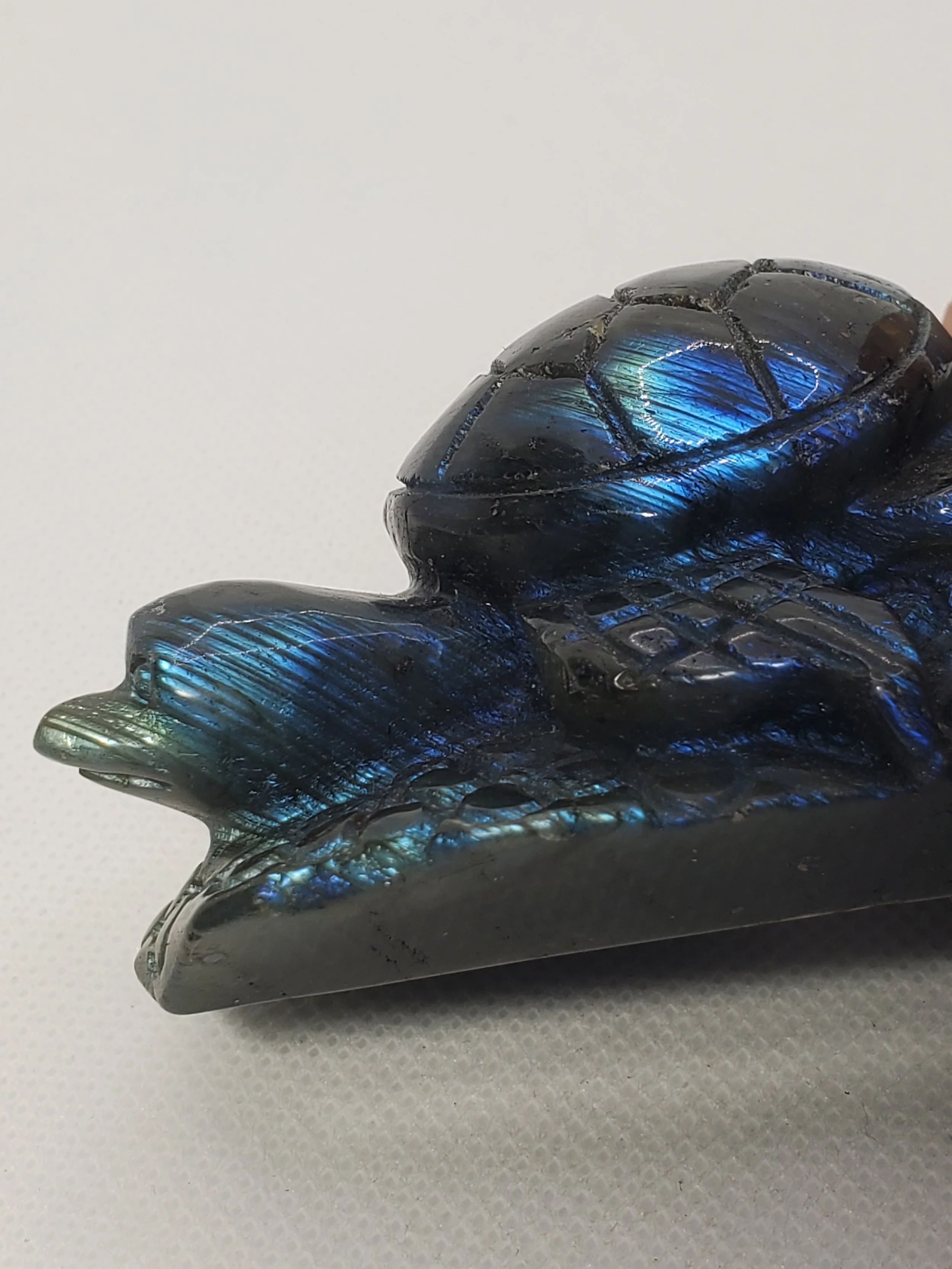 Labradorite Turtle