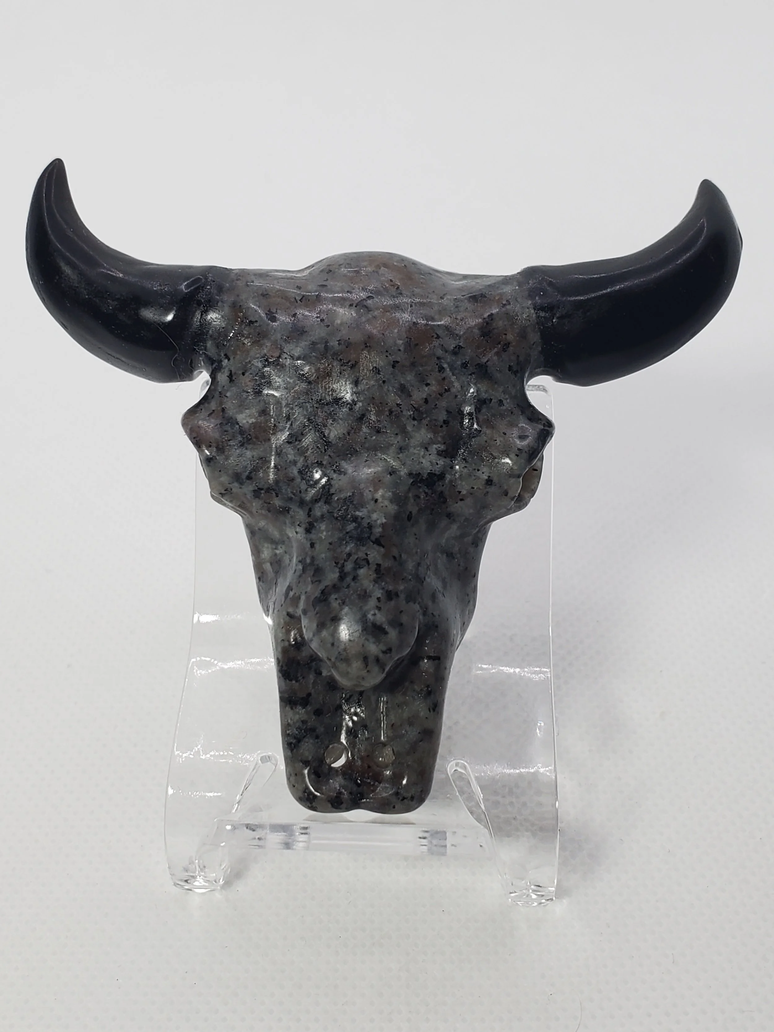 Yooperlite / Obsidian Bull Skull