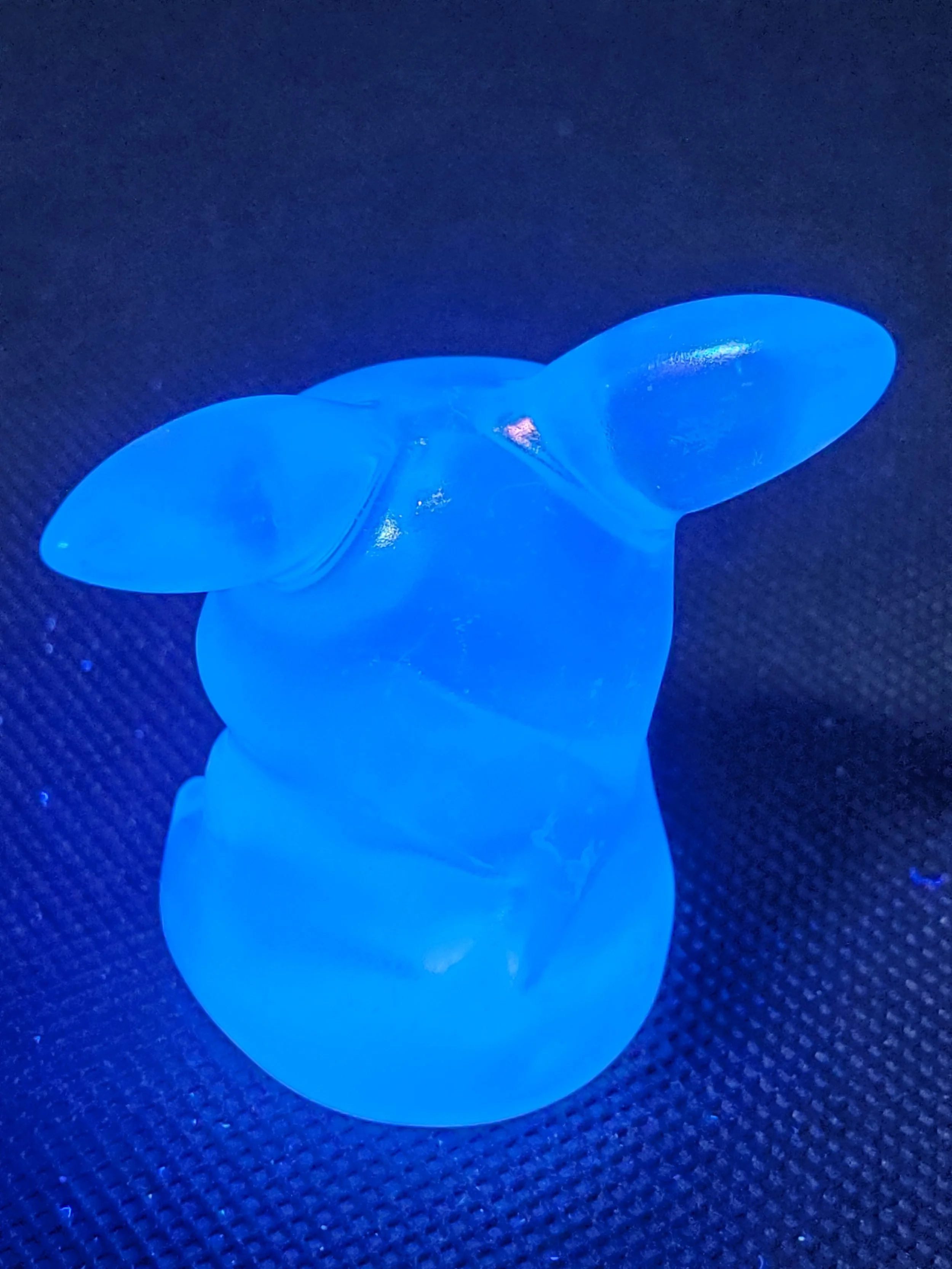 20260630_224424.jpg