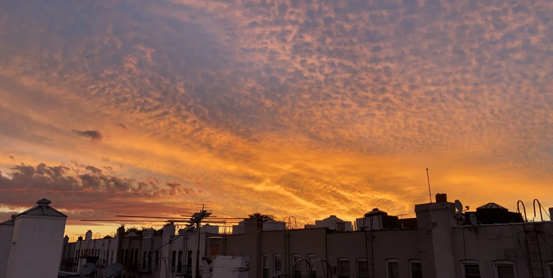 A rooftop in Queens, New York at sunrise. The most beautiful skies often overlay the most bland landscapes. That's life. 