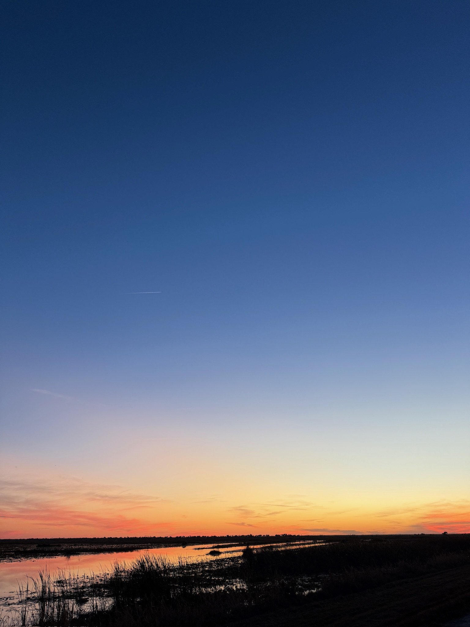 A sunset over a marshland with tall grasses and water reflecting the colorful sky with hues of yellow, orange, pink, and blue.