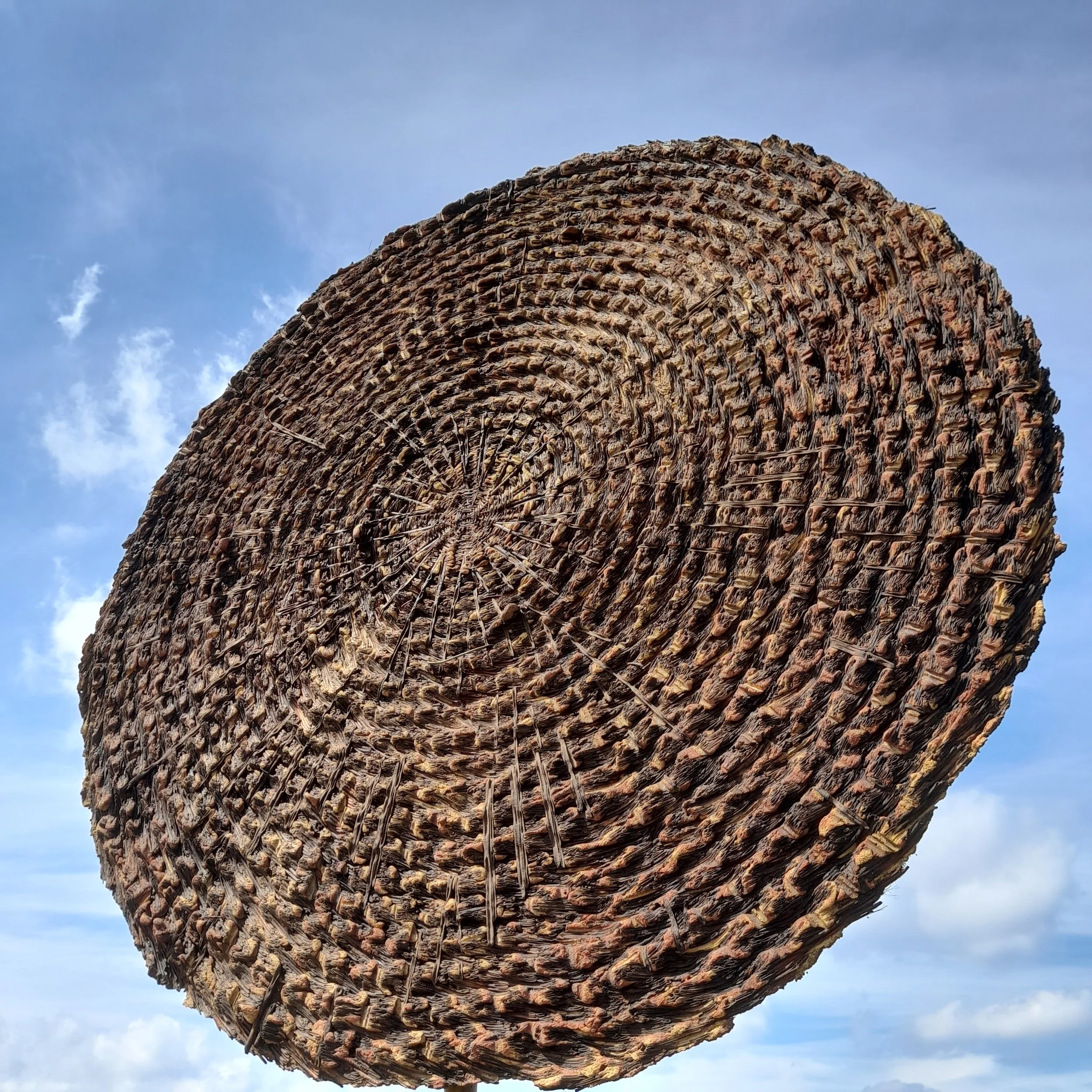 sun disc.jpg