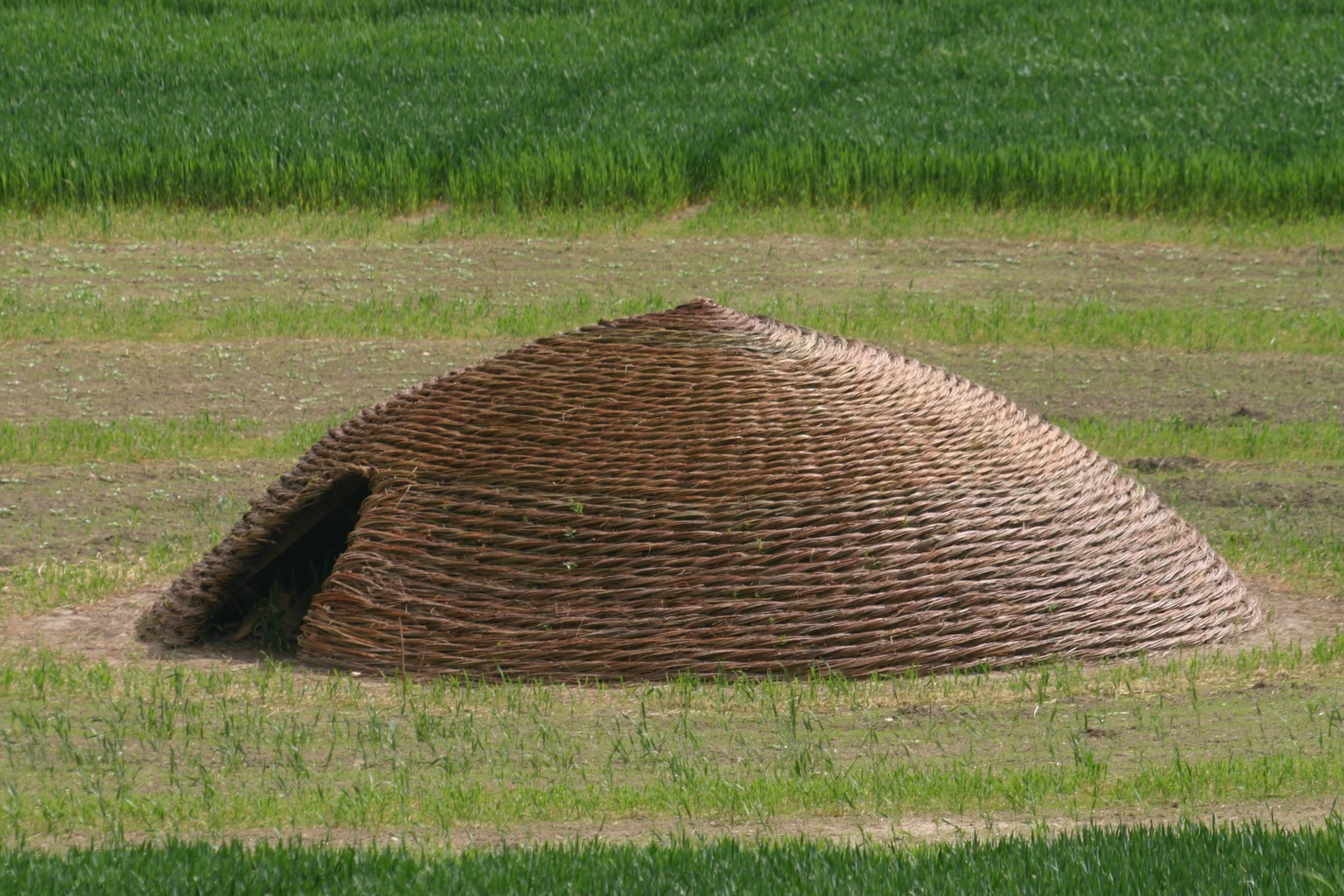 IMG_2697.png