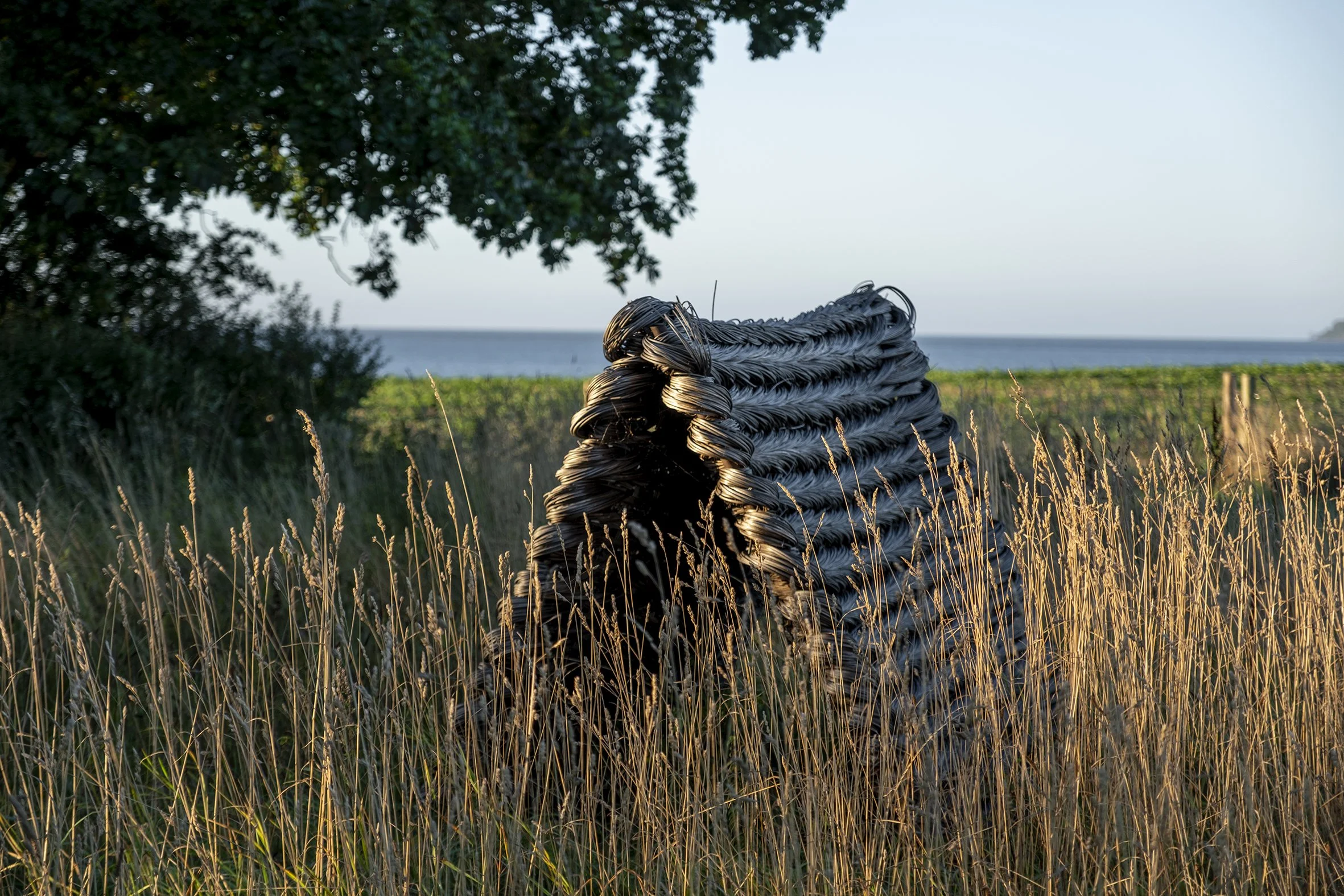 Studiegarden_230926__006.jpg