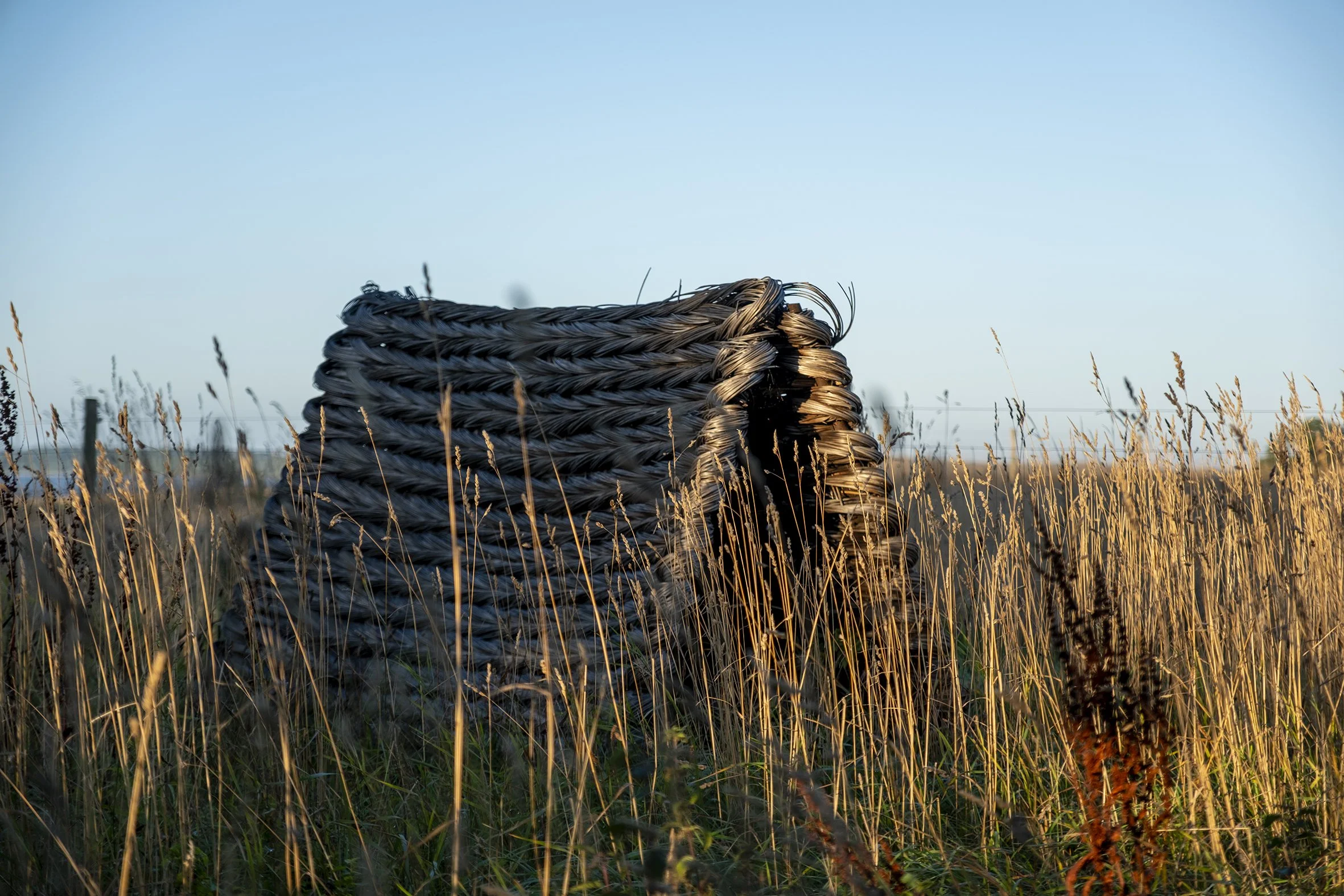 Studiegarden_230926__010.jpg