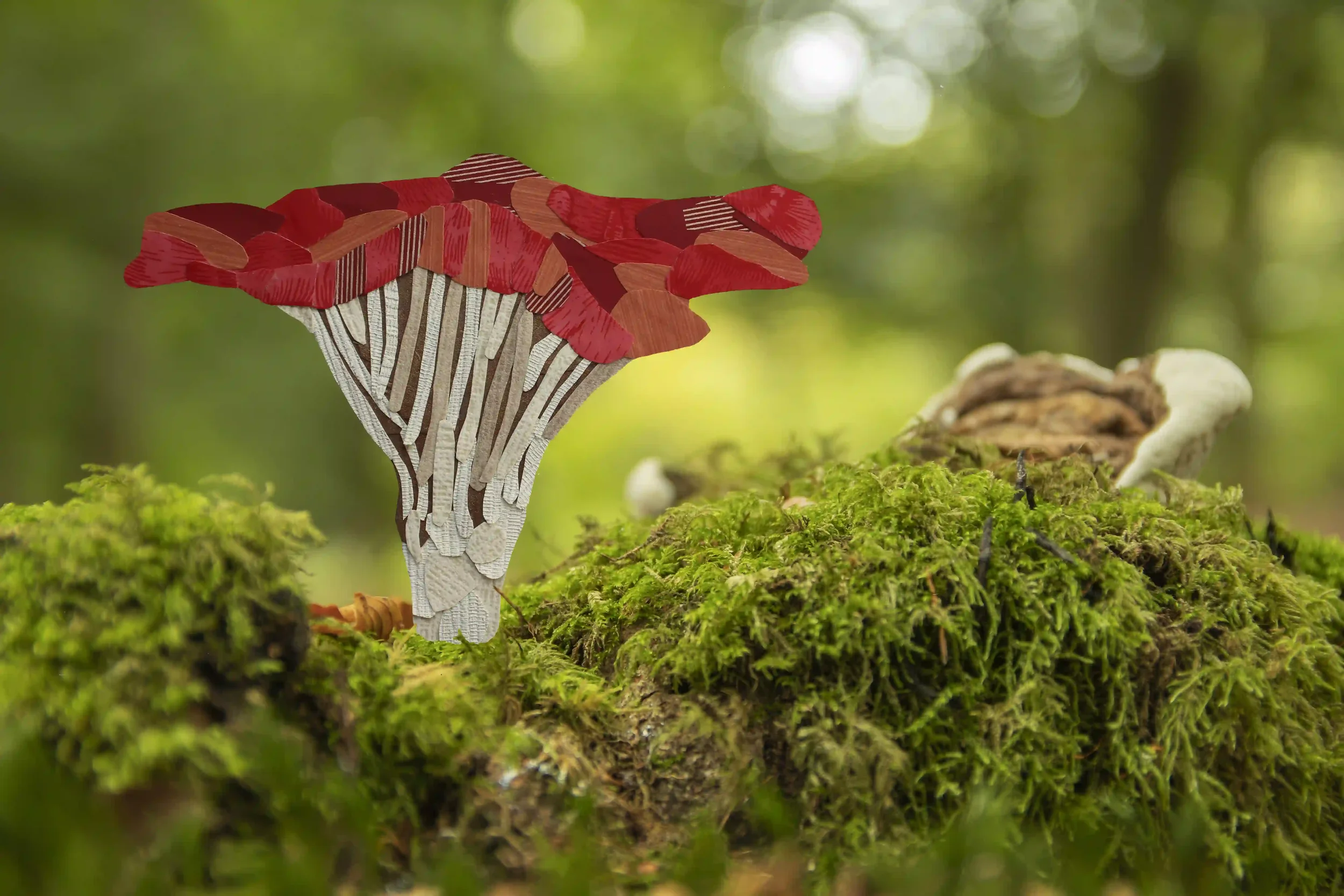 Fungi Form...
Fungi itself is full of energy not visible to the eye; fuelled by its surroundings and a balance in the ecosystem. Bringing offcuts of wall and textured paper to create a unique natural form in the shape of fungi. When displayed in such